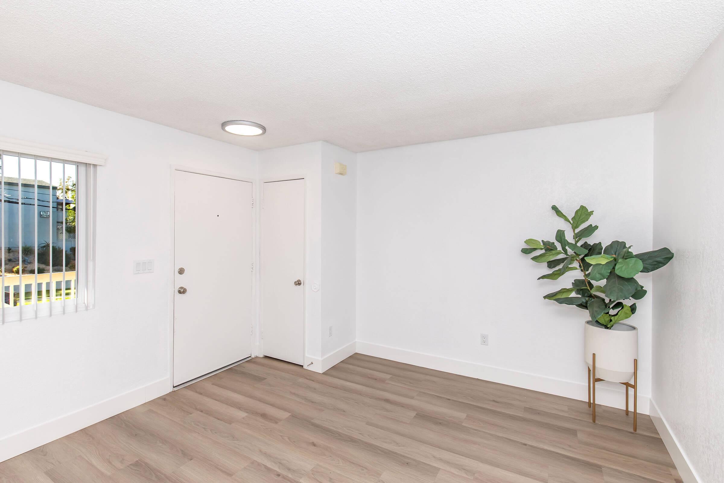 Bright, empty room with light wood flooring, white walls, and a small window featuring vertical blinds. A simple, modern door is visible on one wall, and a decorative potted plant sits in the corner, adding a touch of greenery to the minimalist space. Natural light enters through the window.