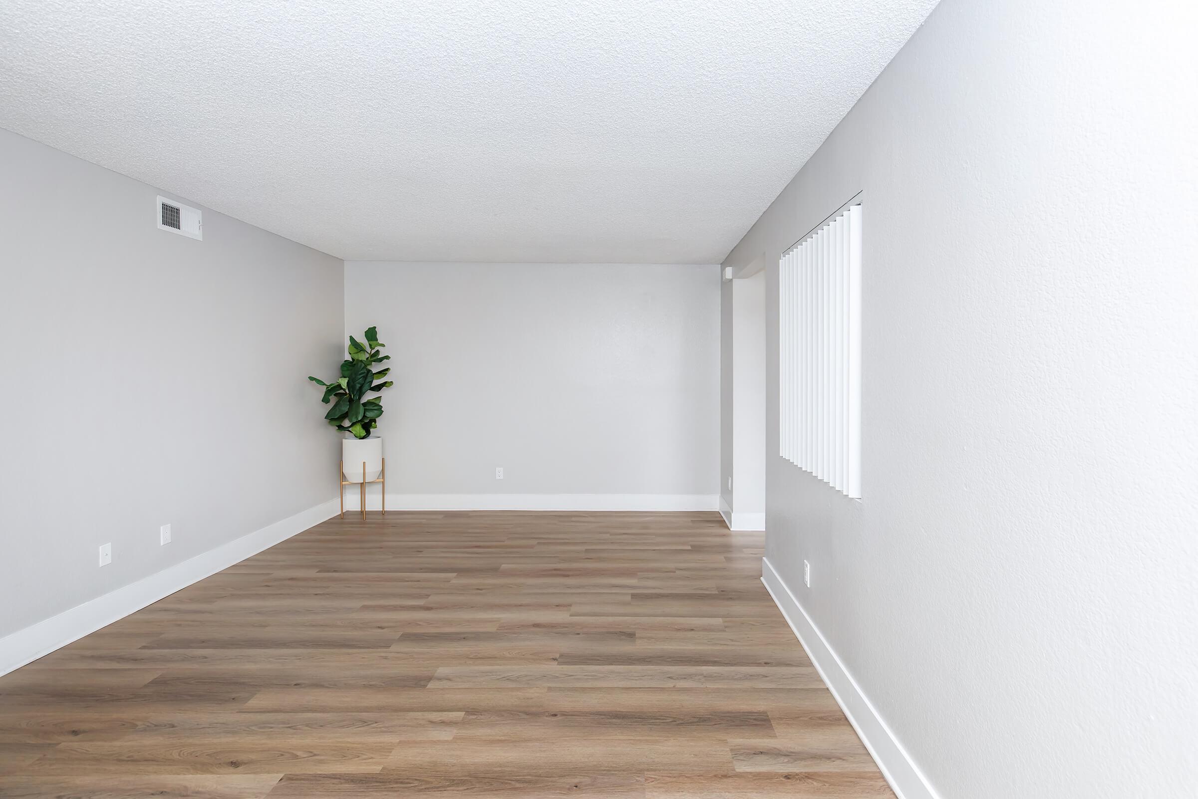A spacious, unfurnished room with light gray walls and wooden flooring. A tall indoor plant sits in the corner on a small stand. Natural light enters through a window with white blinds, creating a bright and open atmosphere.