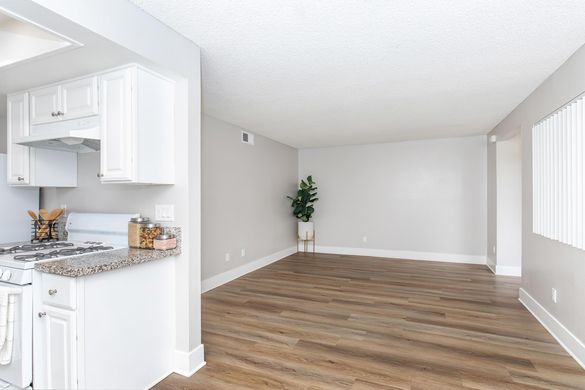 A modern kitchen with white cabinets, a granite countertop, and a gas stove transitioning into a spacious living room with light gray walls. The floor is made of light wood, and there is a tall potted plant in the corner. The room has a large window with vertical blinds, allowing natural light to fill the space.