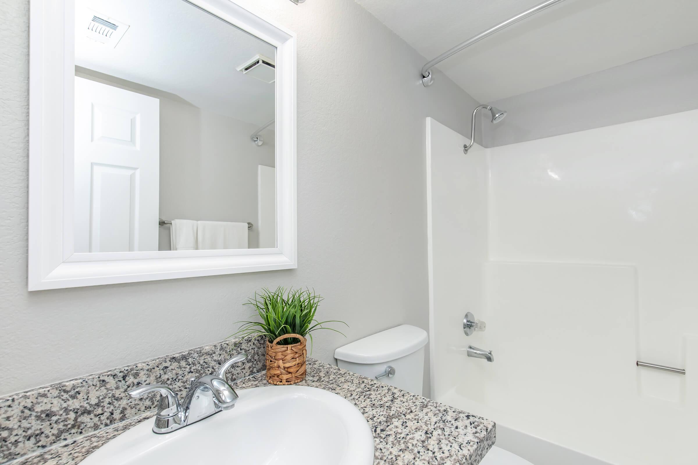 A clean and modern bathroom featuring a granite countertop sink with a mirror above, a shower area with a white tub, a toilet, and a small plant in a woven basket. The walls are painted in a light color, and a towel is hanging from a rack in the background.