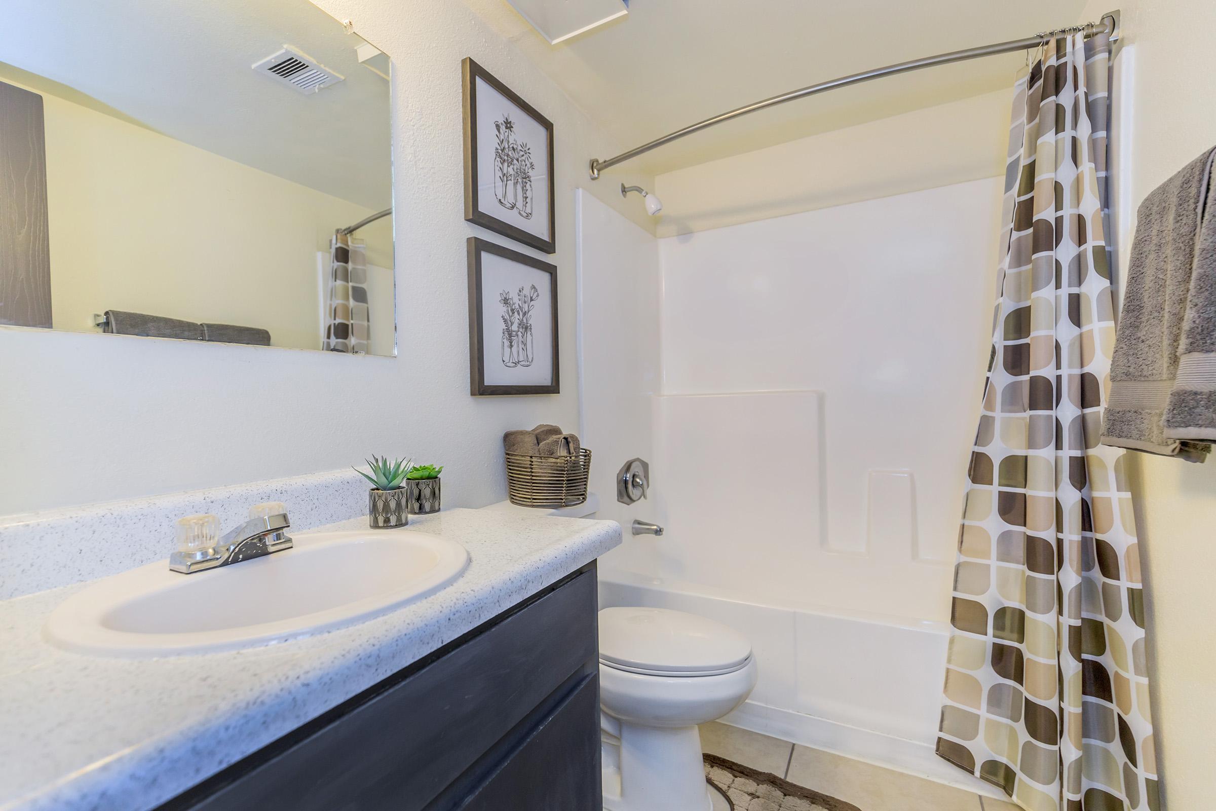 A clean and modern bathroom featuring a sink with a countertop, a toilet, and a bathtub/shower combination. The shower curtain has a geometric pattern, and there are framed art pieces on the wall. A small plant and towels are neatly arranged on the countertop and nearby.