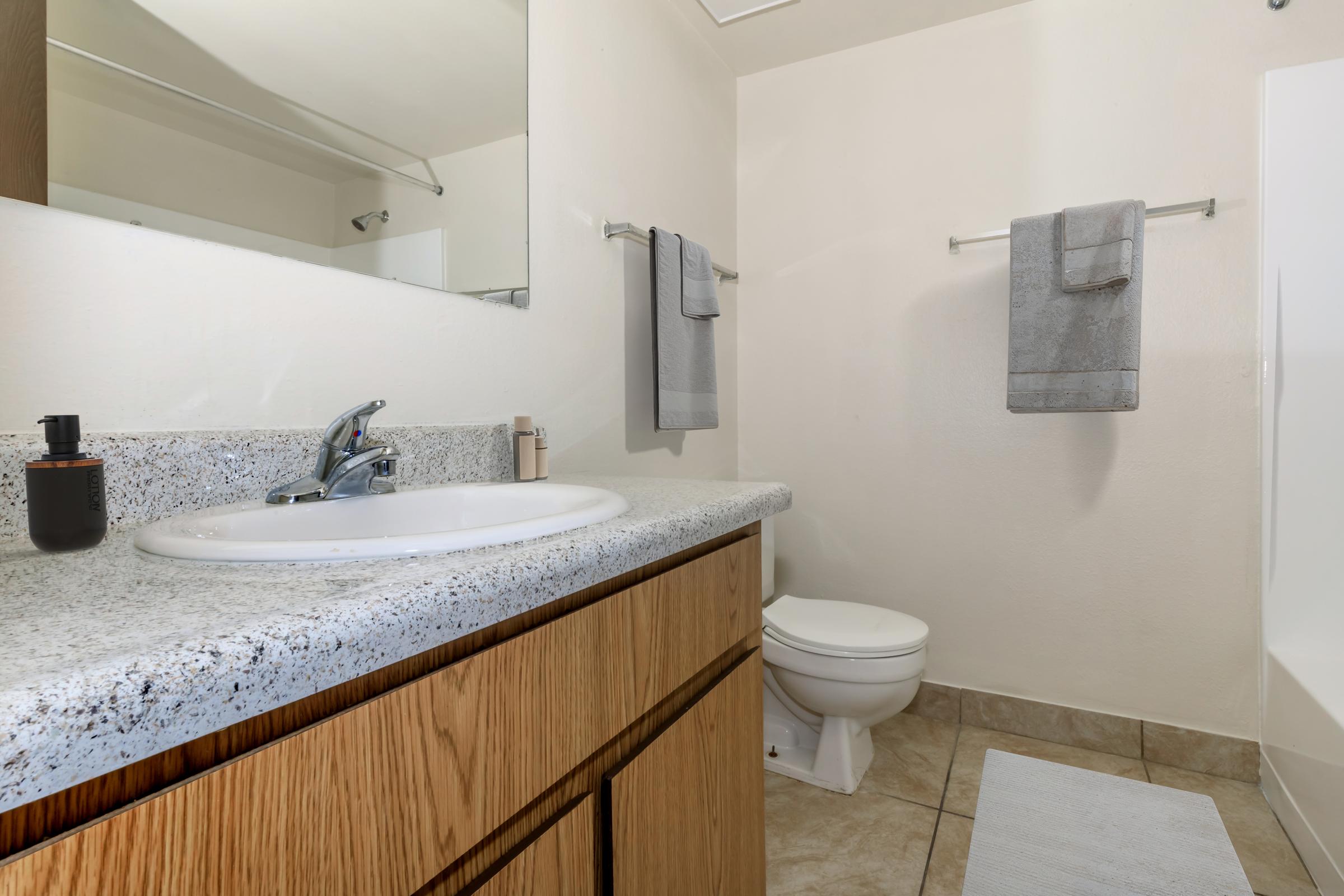 A clean, minimalistic bathroom featuring a countertop with a sink, a mirror above, and two gray hand towels hanging on a rack. A toilet is visible in the corner, and the floor is tiled. A bath mat is placed in front of the sink, creating a cohesive and tidy appearance.