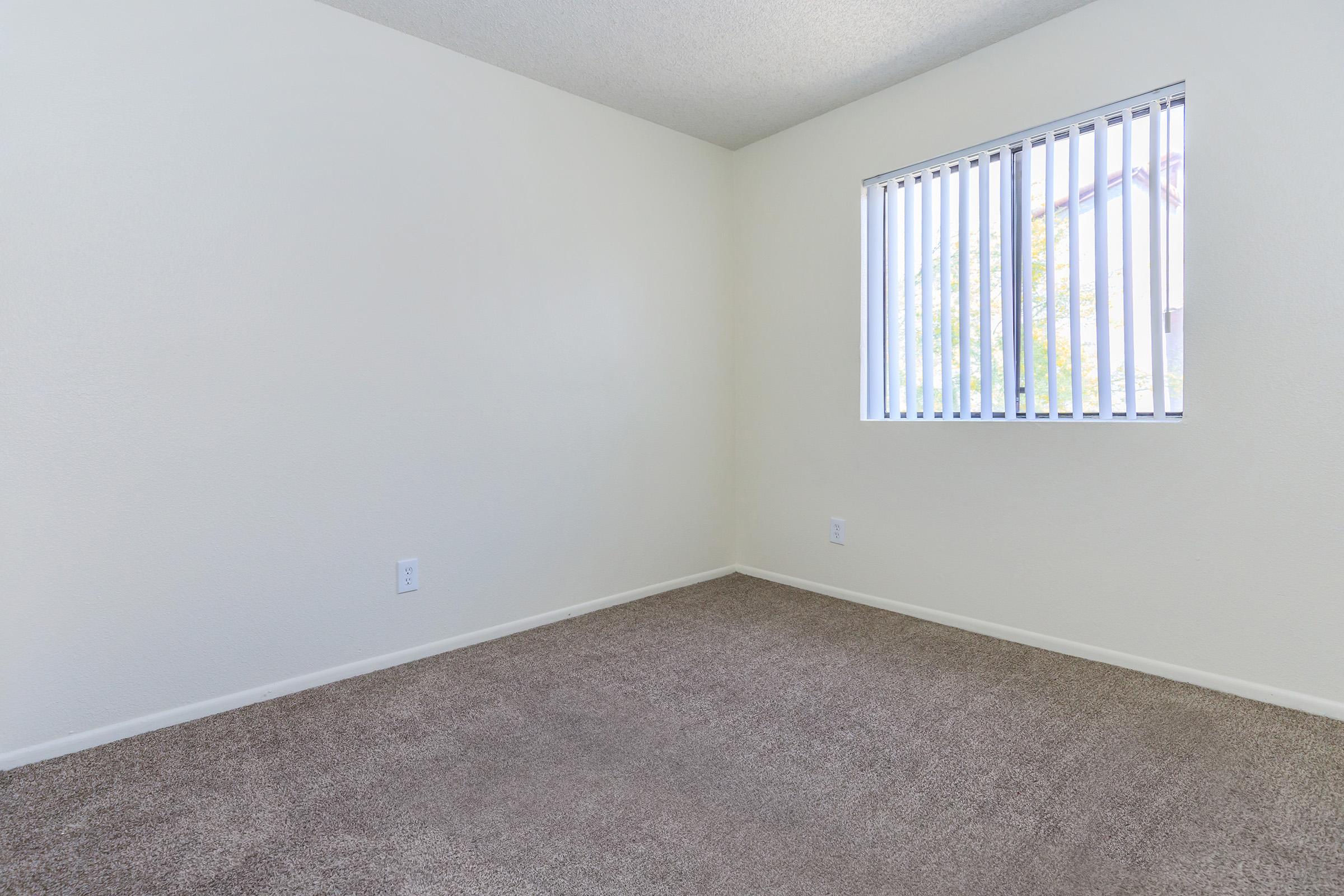 Empty room with light beige walls and a large window featuring vertical blinds. The floor is covered with tan carpet, and there are no furniture or decorations present. Natural light filters through the window, illuminating the space.