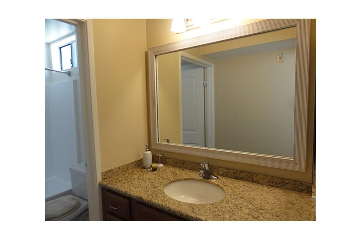 a sink and a mirror