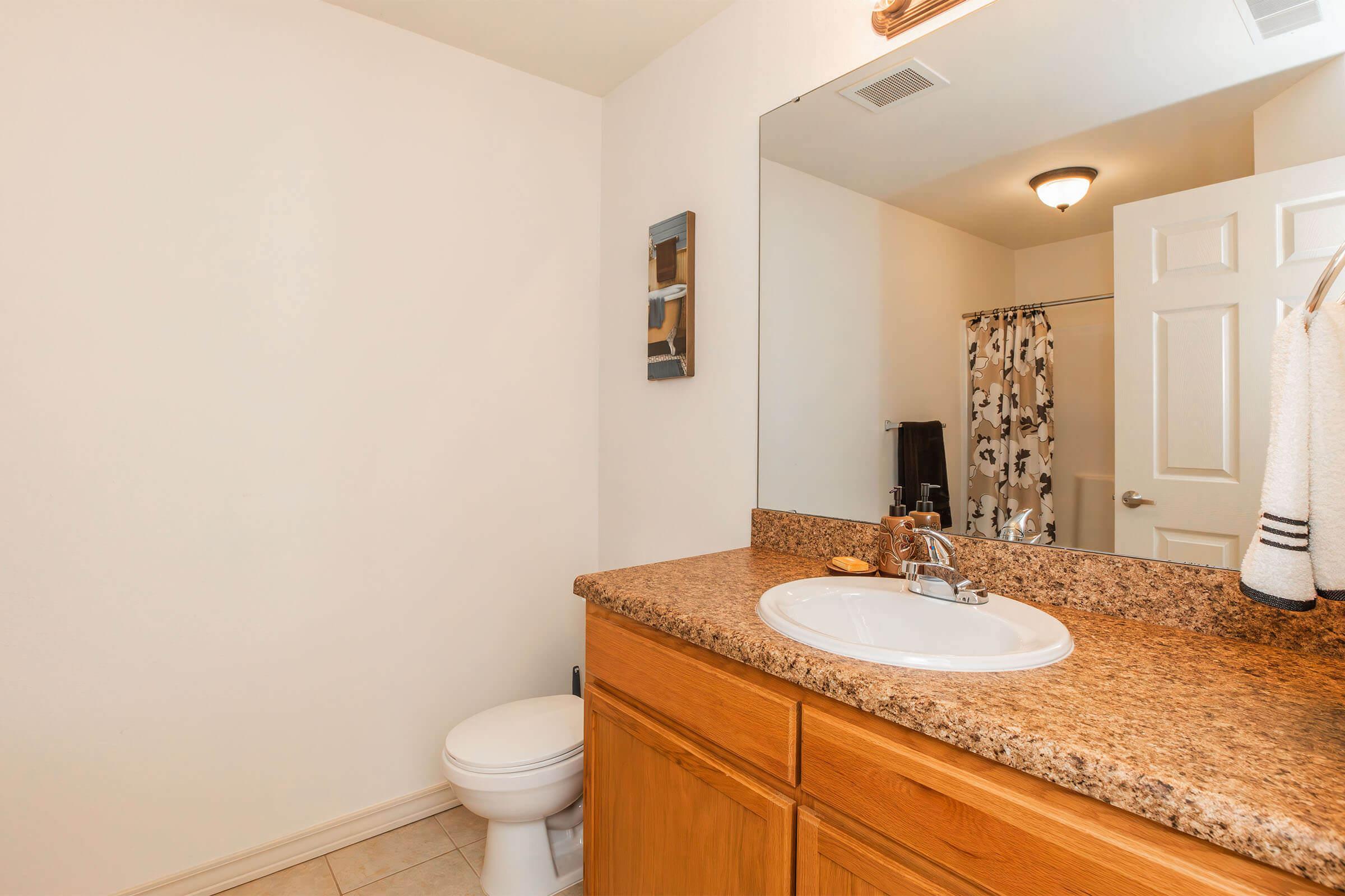 A clean and modern bathroom featuring a wooden vanity with a sink, a large mirror above, a toilet, and a shower curtain in a muted floral pattern. The walls are painted light, and there are decorative items on the counter, creating a welcoming atmosphere.