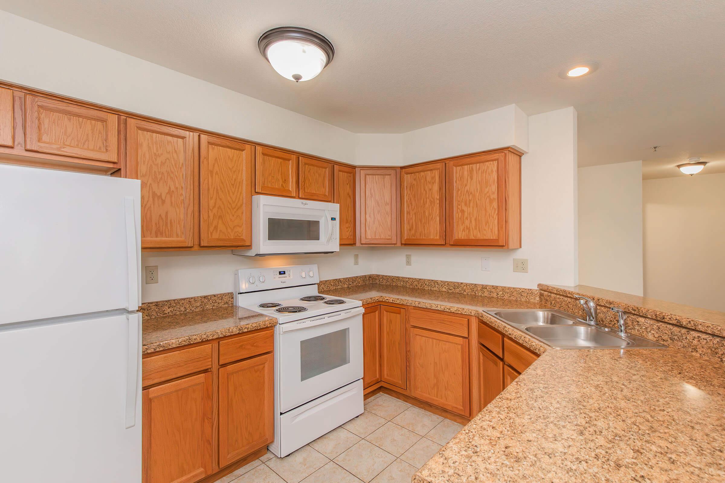 A modern kitchen featuring light wood cabinets, a white refrigerator, a white stove, and a microwave. The countertops are made of speckled granite, and there's a double sink. The walls are painted in a neutral color, providing a bright and spacious feel.