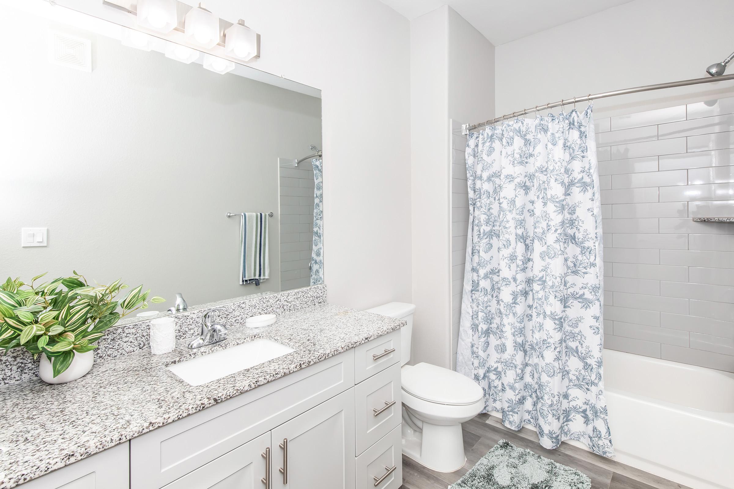 A modern bathroom featuring a large mirror above a granite countertop with a sink. There are light fixtures above the mirror and a shower area with a floral-patterned shower curtain. A toilet is visible beside a bathtub. A green plant is placed on the countertop, and a textured rug is on the floor.