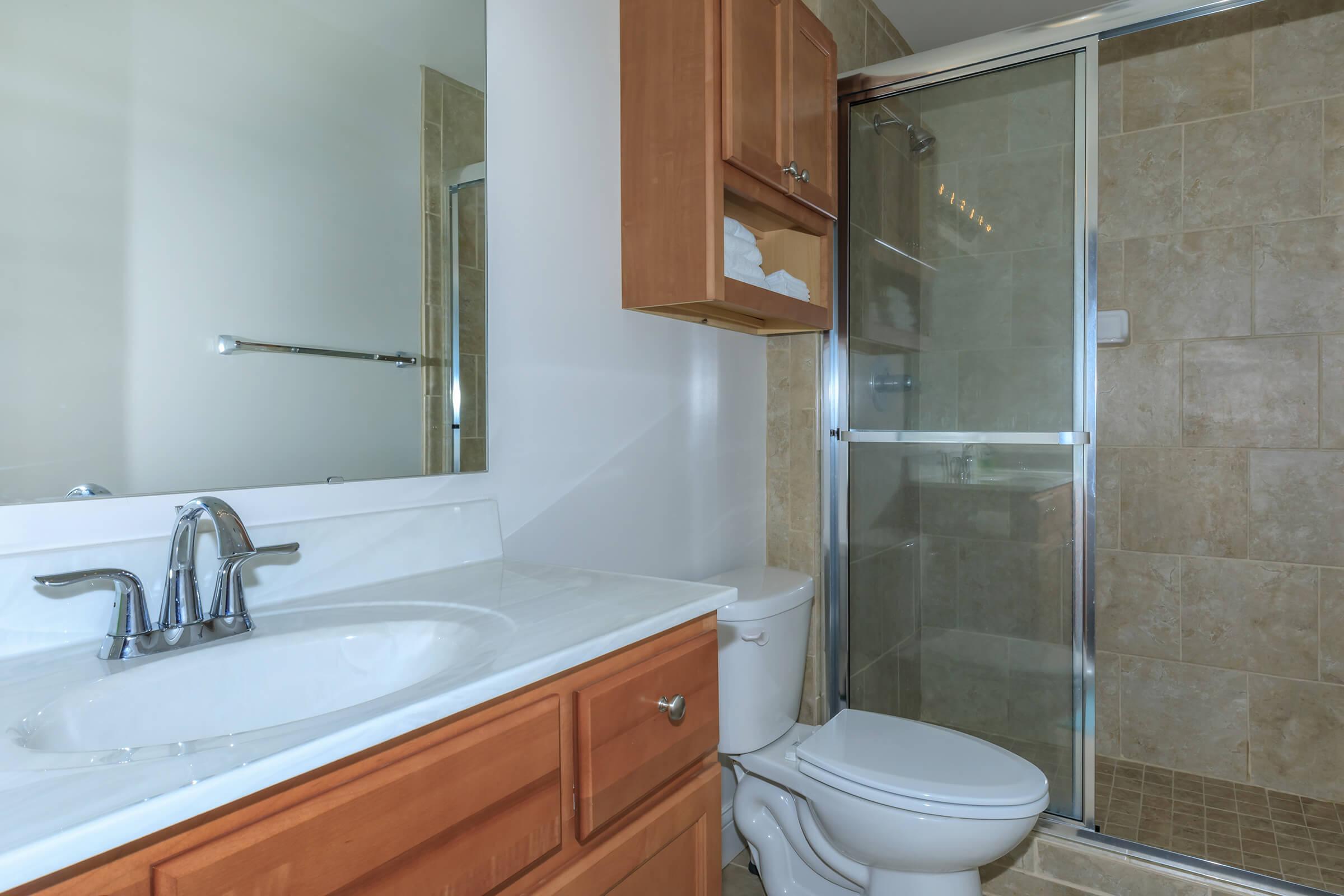 a shower that has a sink and a mirror