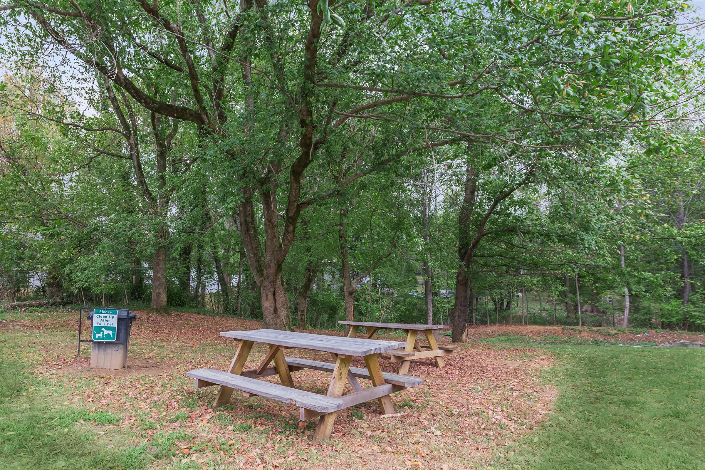 a bench in a park