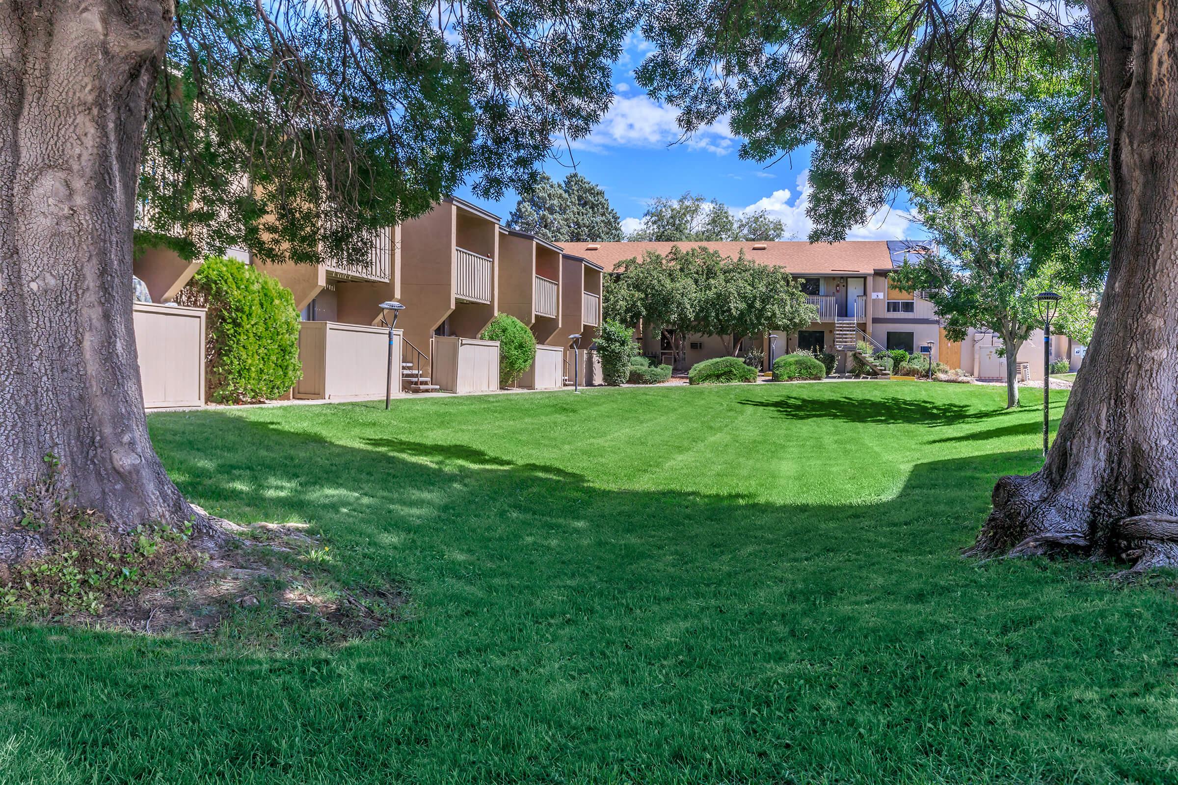 Lush green lawn framed by large trees, with apartment buildings in the background. The scene includes well-maintained landscaping and clear blue sky, creating a tranquil residential setting. Sunlight filters through the trees, highlighting the vibrant greenery.