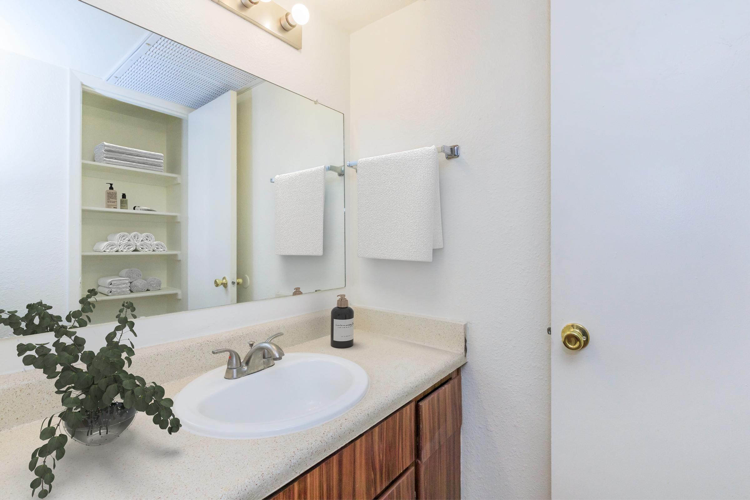A clean bathroom with a sink, a large mirror above it, and neatly arranged towels hanging on towel bars. Shelves in the background hold rolled white towels. A small plant adds a touch of greenery to the countertop, enhancing the fresh and tidy ambiance of the space.