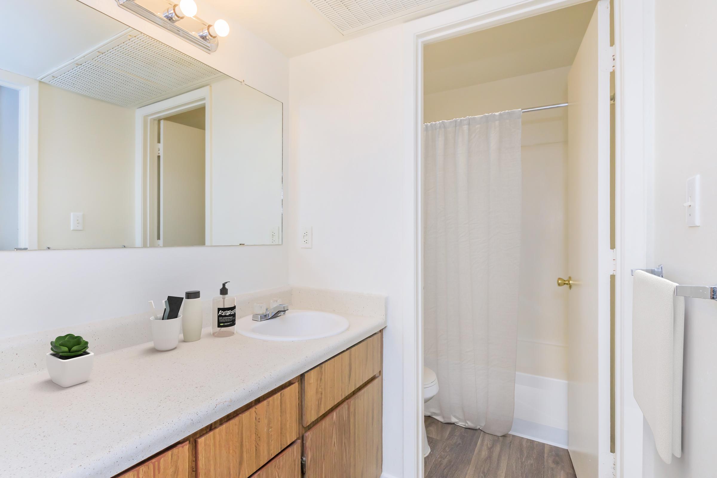 Bright, modern bathroom featuring a white sink with a countertop, wooden cabinetry, and a large mirror. In the background, there's a shower area with a curtain and a toilet. A small potted plant and various toiletry items are neatly arranged on the counter, creating a clean and stylish atmosphere.