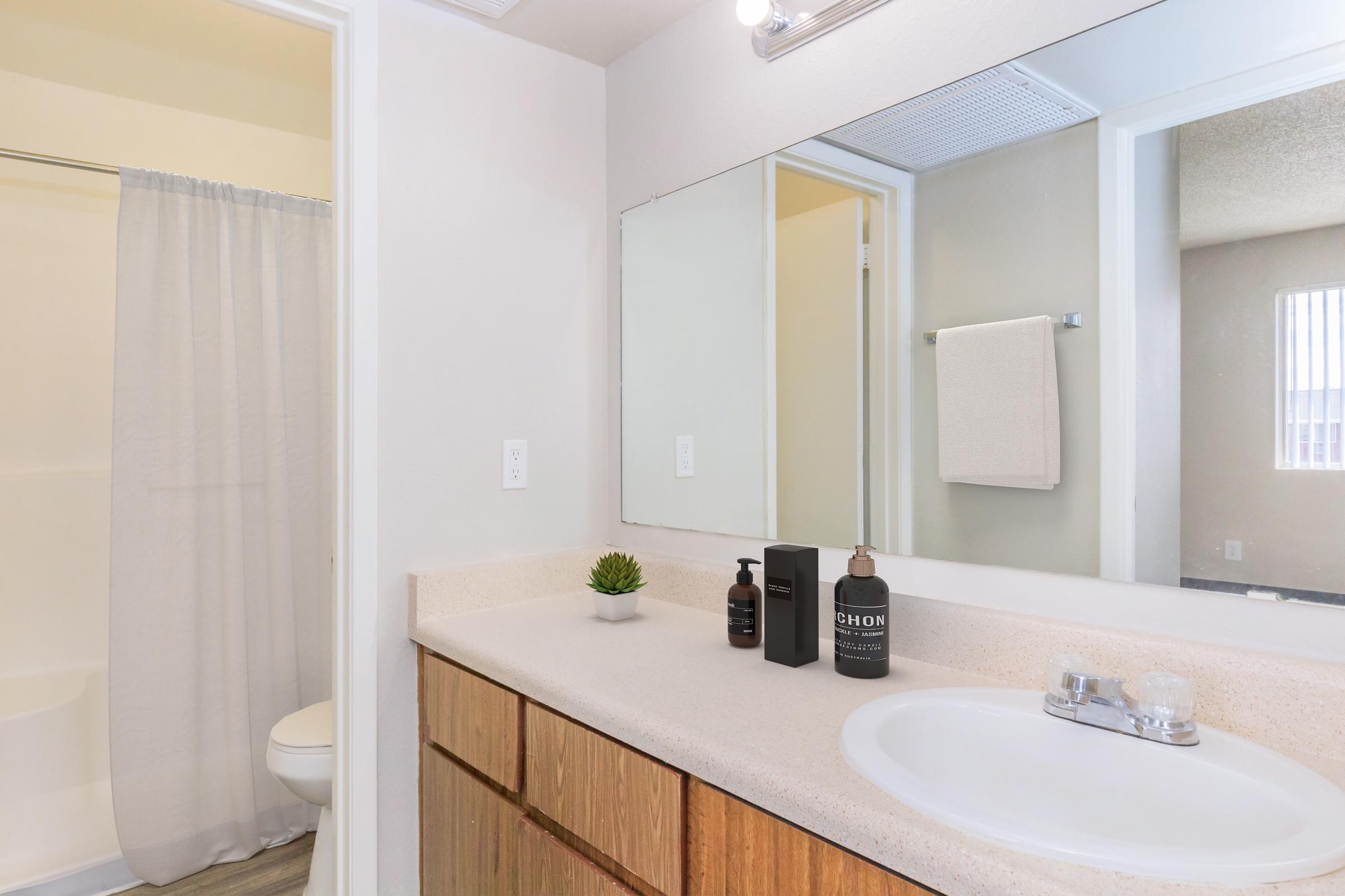 A clean bathroom featuring a countertop with two dark-colored bottles and a small potted plant. A shower area with a white curtain is visible on the left, and a mirror reflects the space. The walls are light-colored, and there's a towel hanging on a rack. Soft natural light enters through a window.