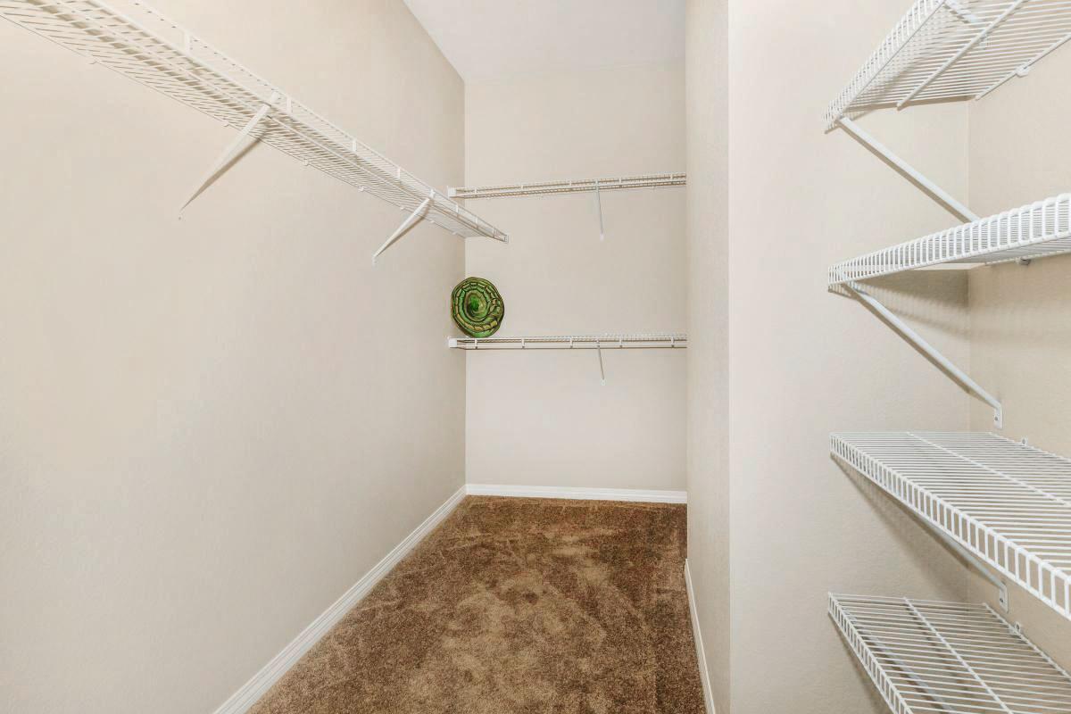 Walk-In Closet with Lots of Storage