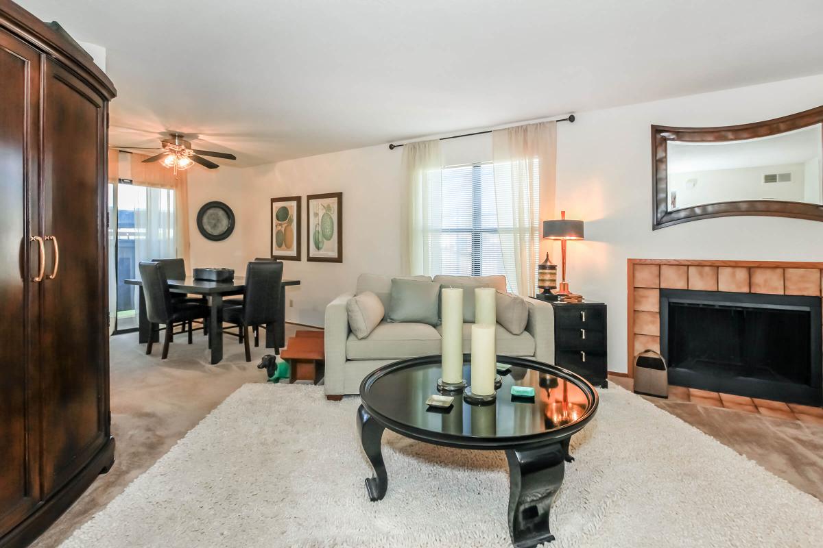 a living room filled with furniture and a fireplace