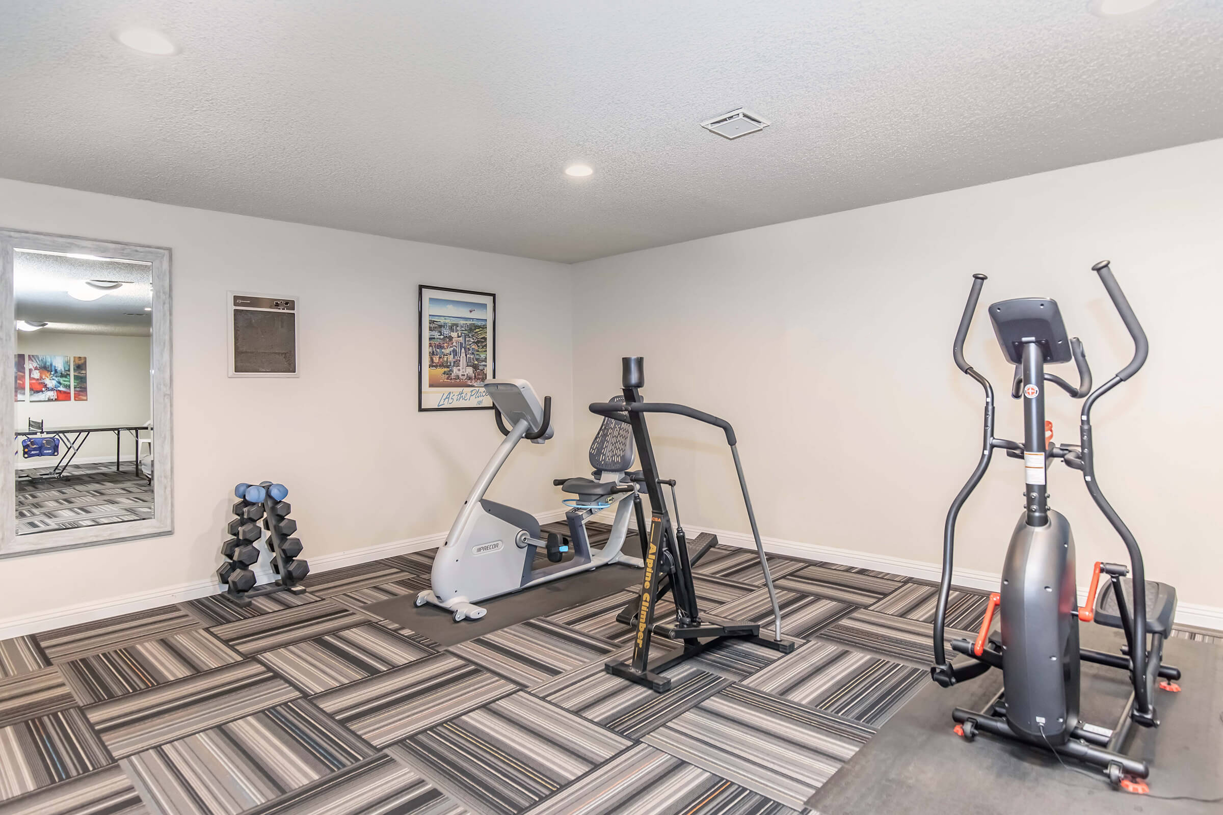 A home gym featuring a stationary bike, an elliptical machine, a set of dumbbells, and a mirror. The room has carpeted flooring in a patterned design and neutral-colored walls, providing a clean and organized space for fitness activities.