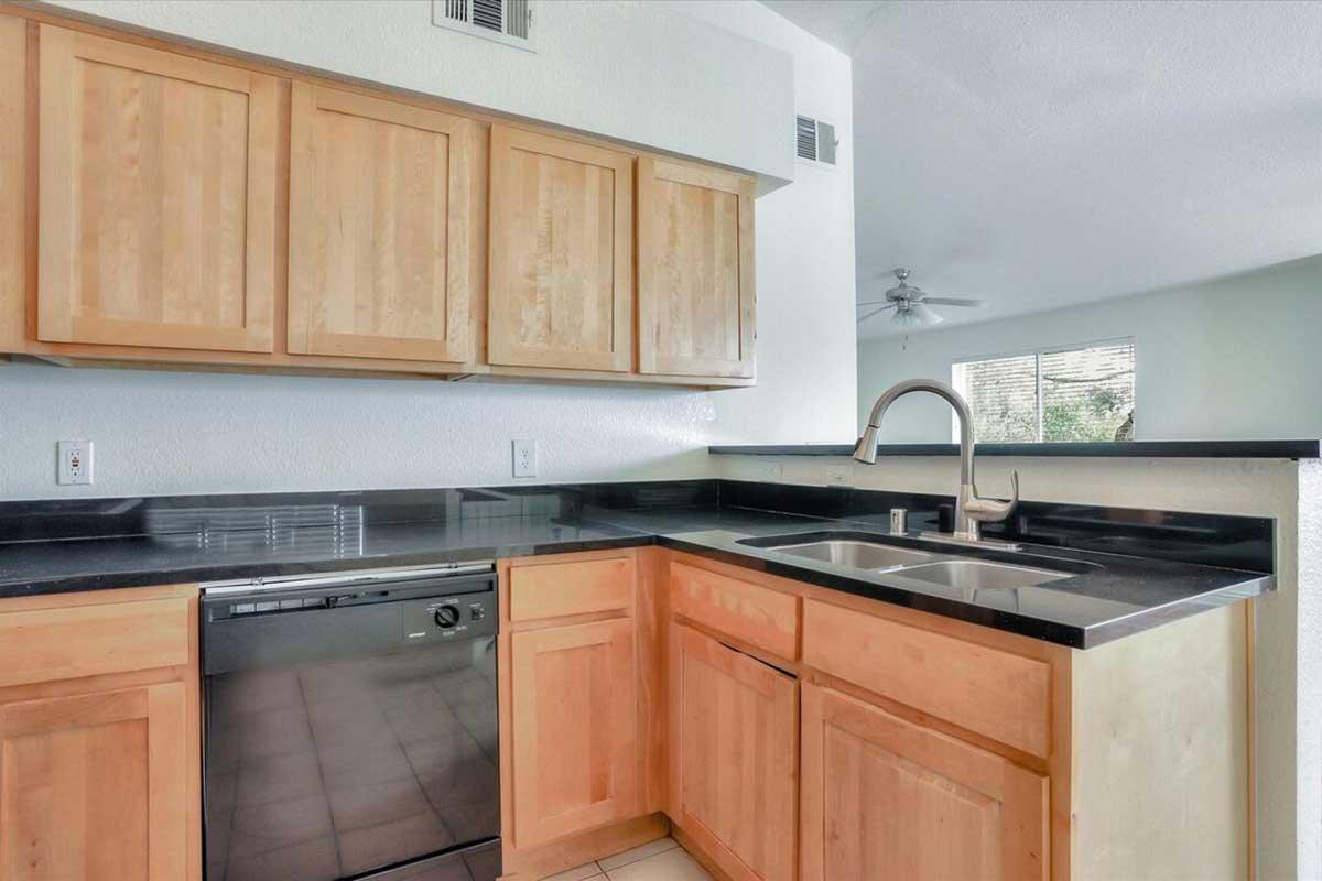 Modern kitchen featuring wooden cabinetry, a black countertop, stainless steel dishwasher, and a double sink. A ceiling fan is visible in the background, and large windows provide natural light. The design focuses on simplicity and functionality.