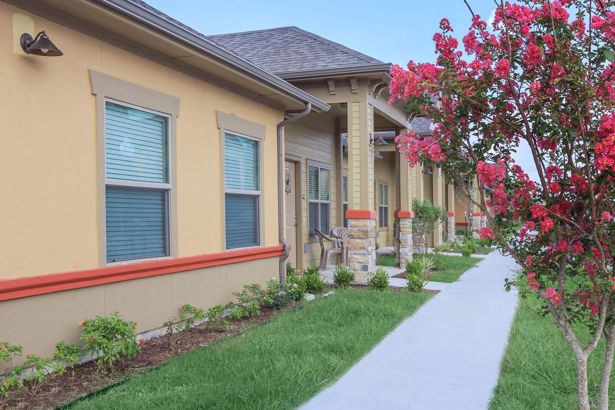 a close up of a flower garden in front of a house