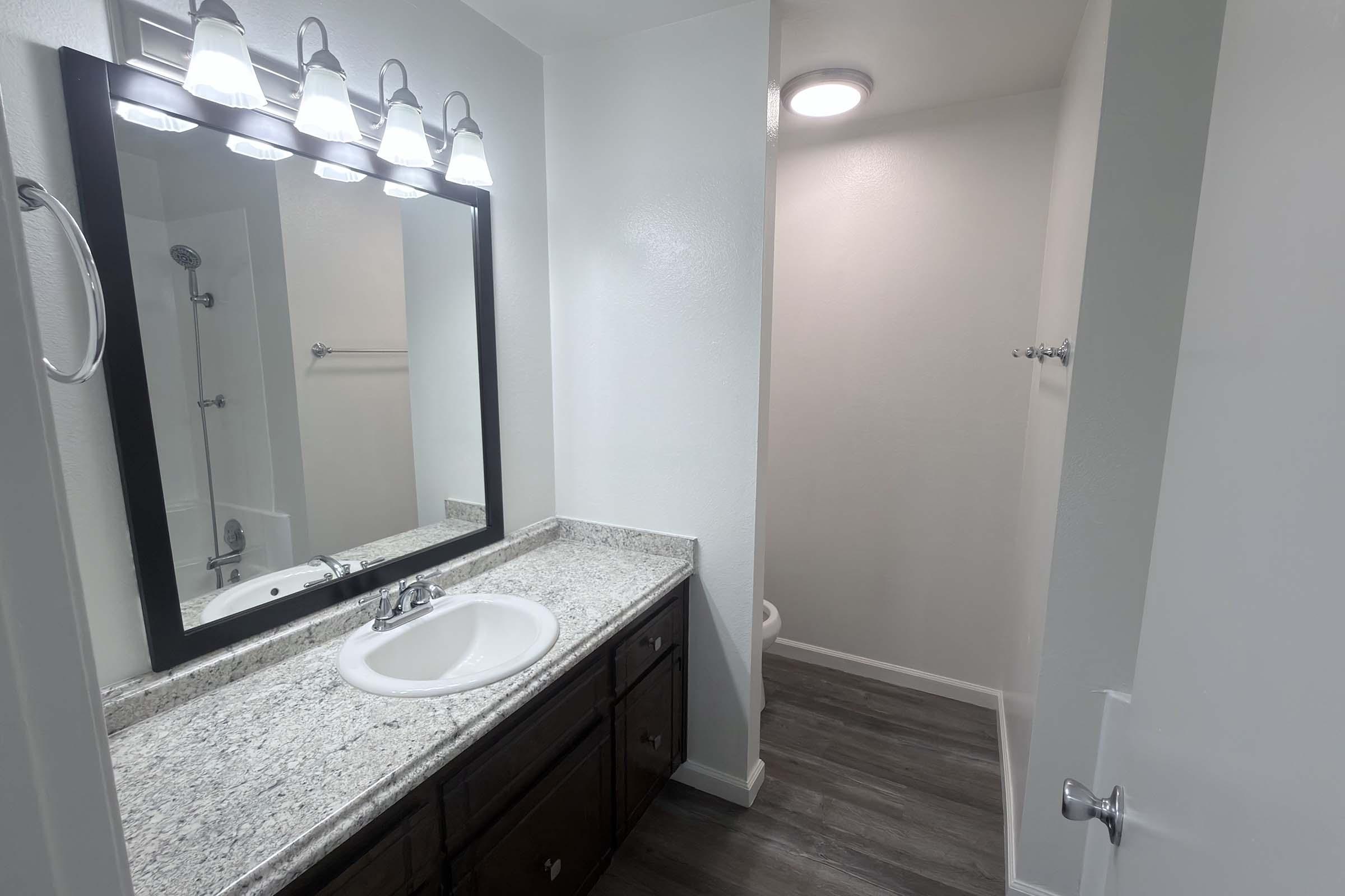 A modern bathroom featuring a granite countertop with a sink, a large mirror with five light fixtures above, and a walk-in shower area visible. The walls are painted white, and the flooring is a light wood-like laminate. A small room is seen in the background, likely a toilet area.
