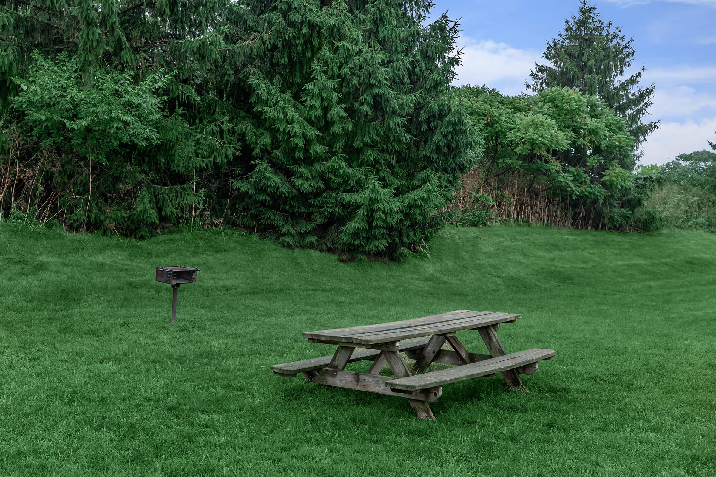 a couple of lawn chairs sitting on top of a lush green field