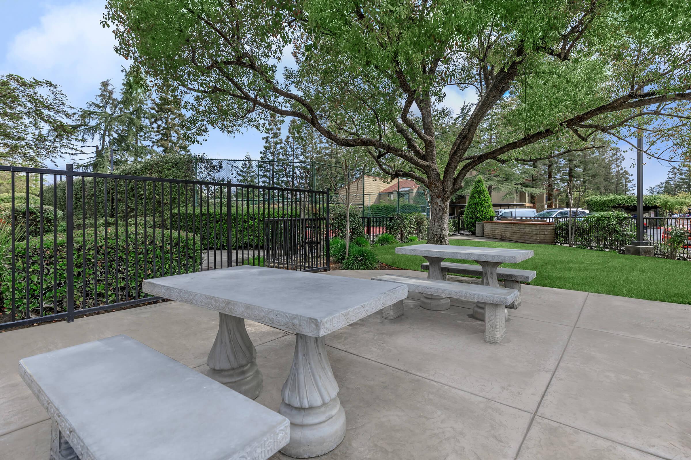 an empty park bench next to a palm tree