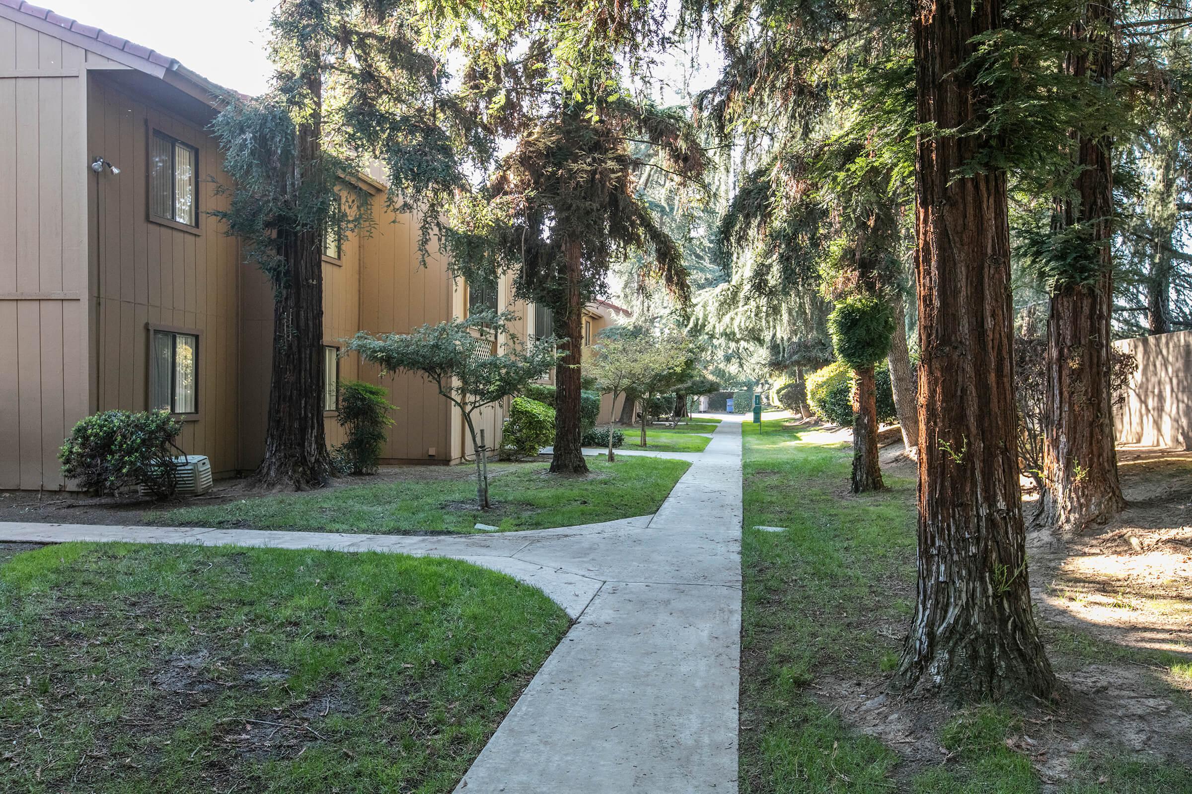 Pine Tree Village Apartments Photo Gallery