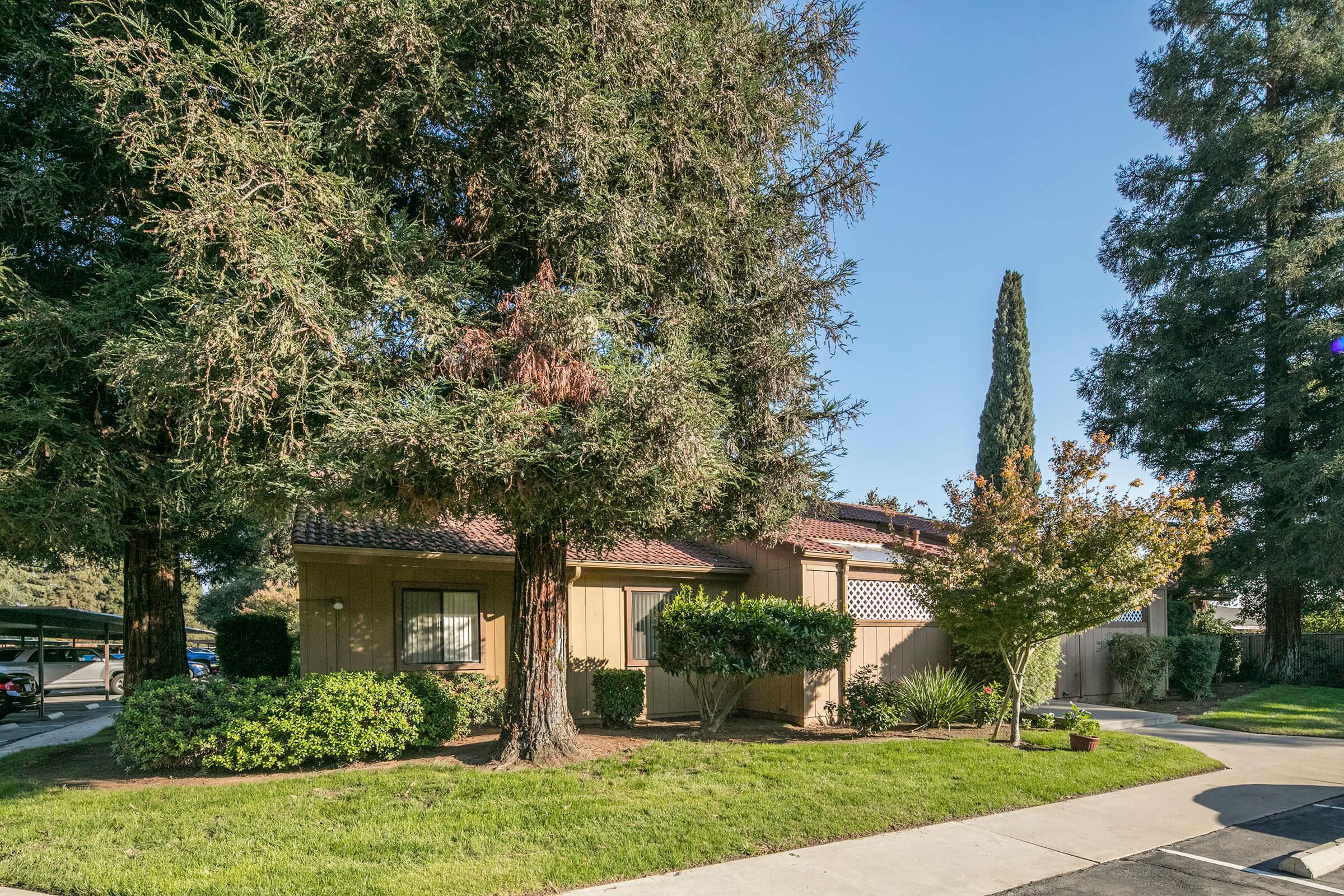 Pine Tree Village Apartments Photo Gallery