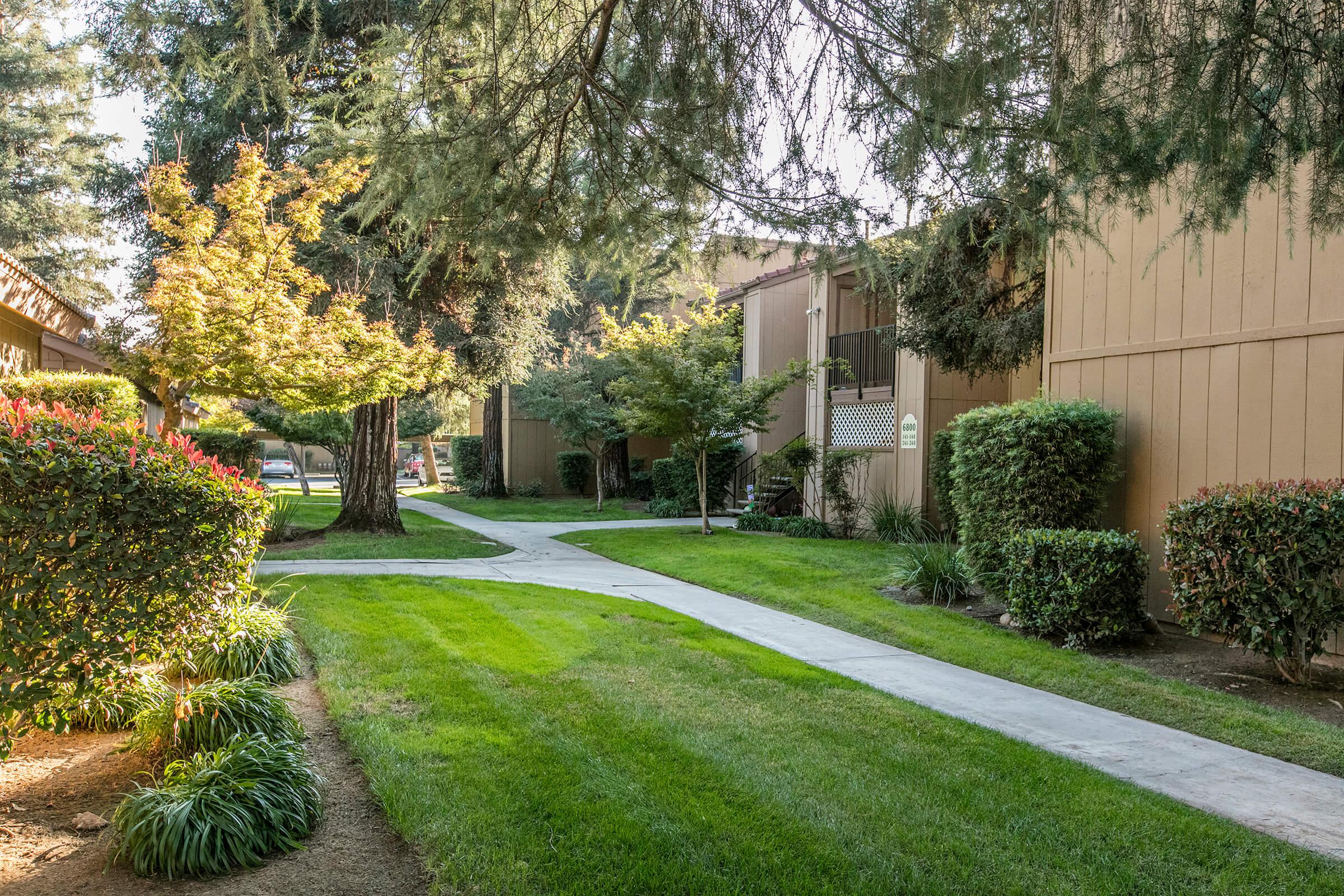 Pine Tree Village Apartments Photo Gallery