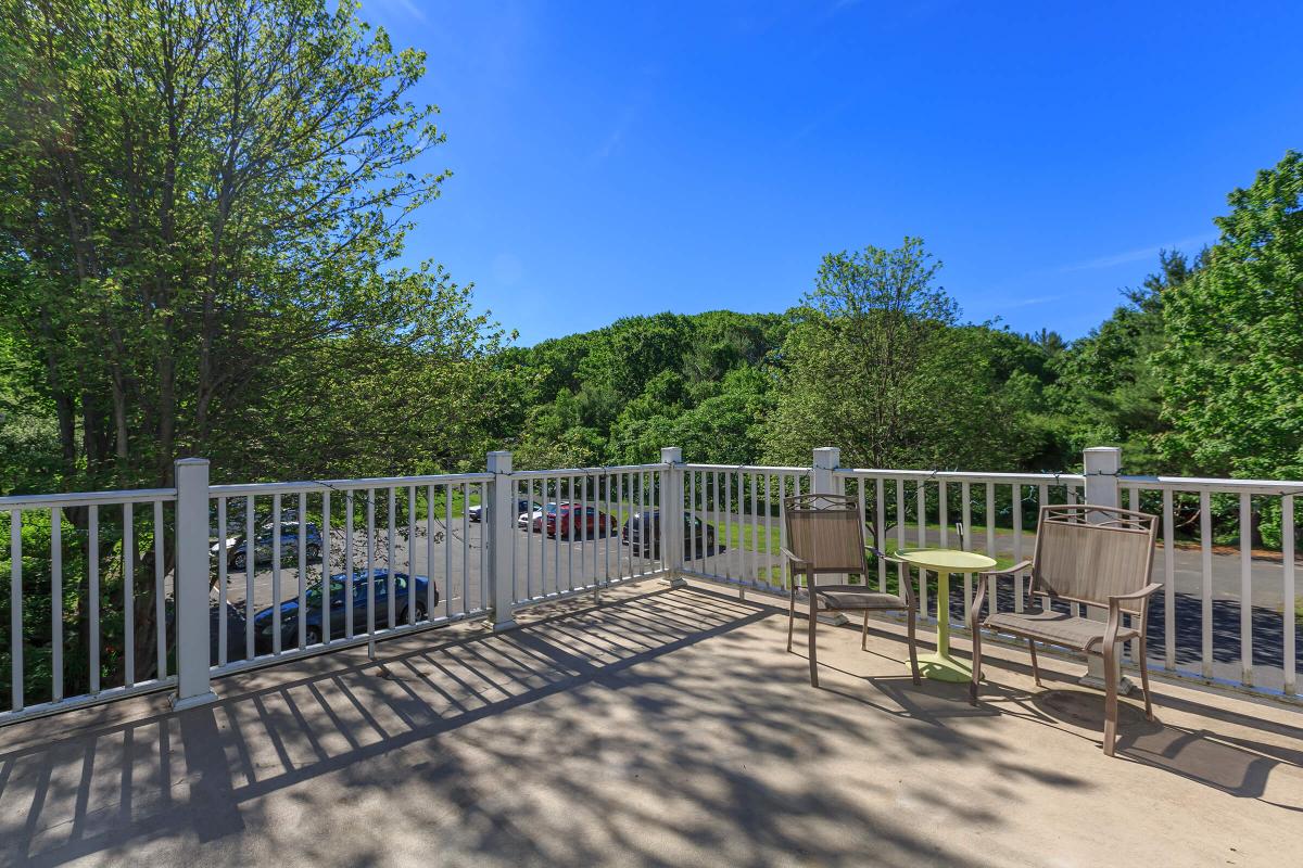 a bench in a fenced in area