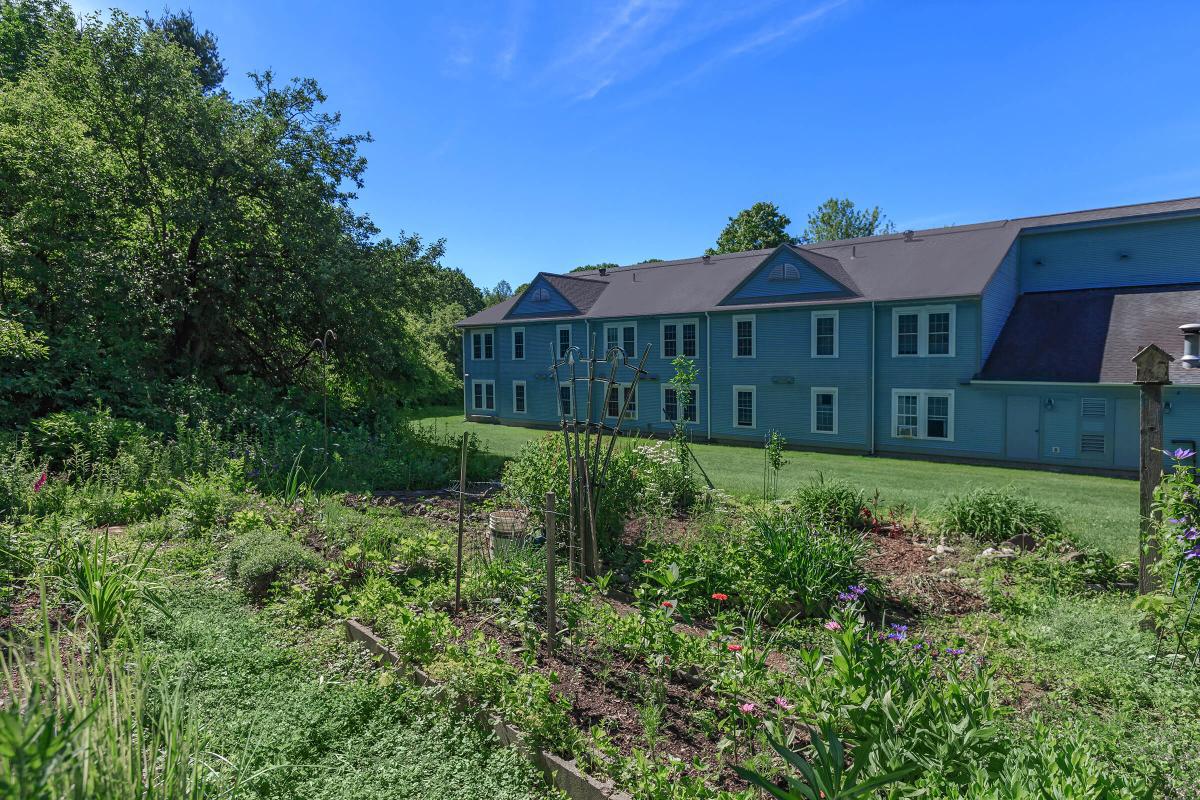 a house with bushes in the background