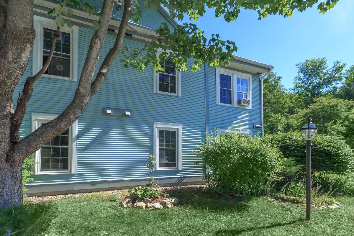 a tree in front of a house