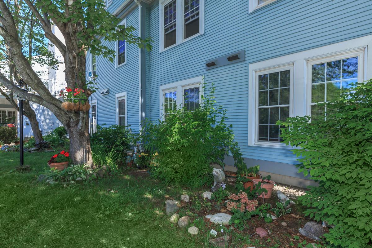 a house with bushes in front of a building