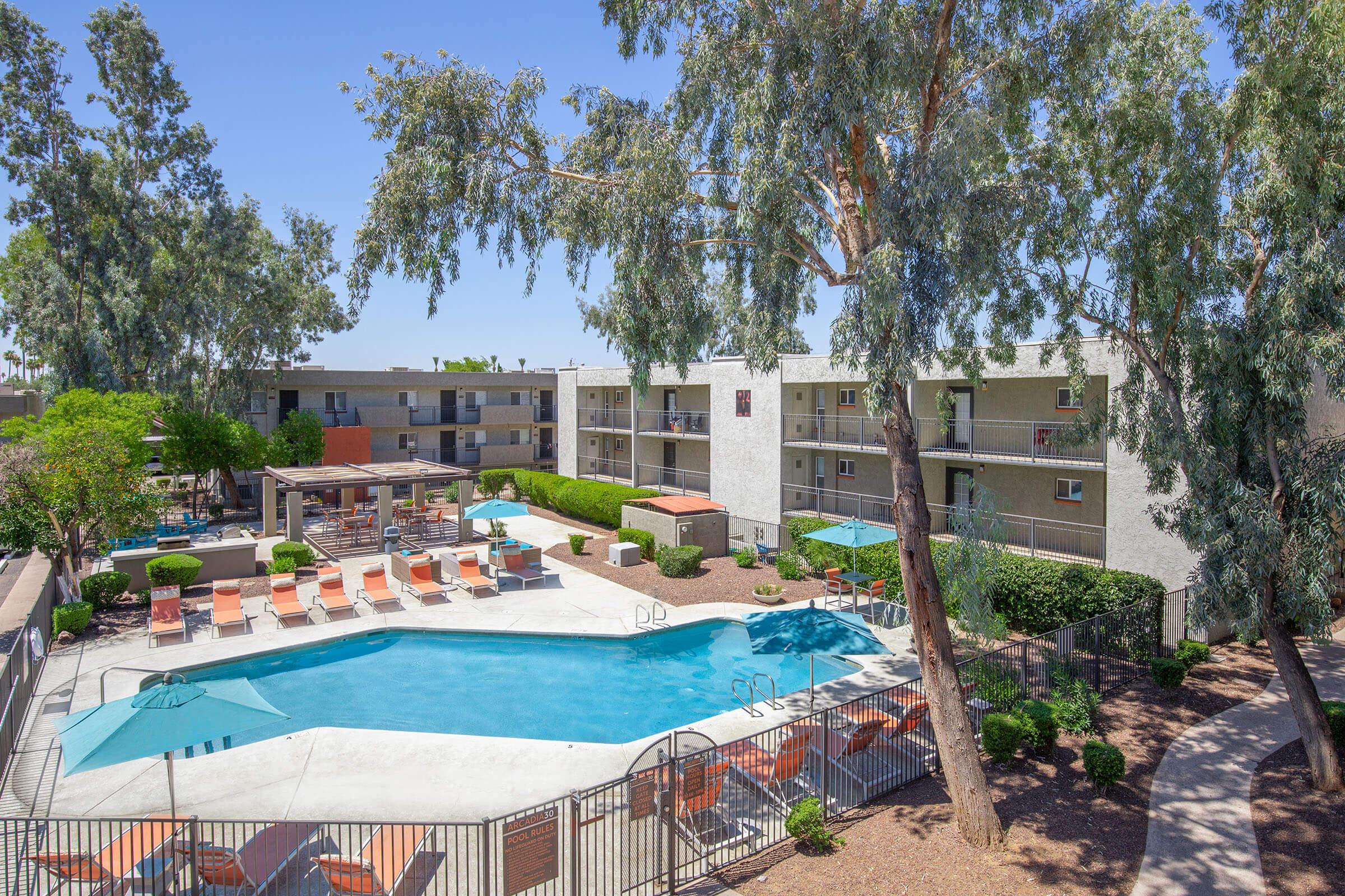 a group of palm trees next to a pool