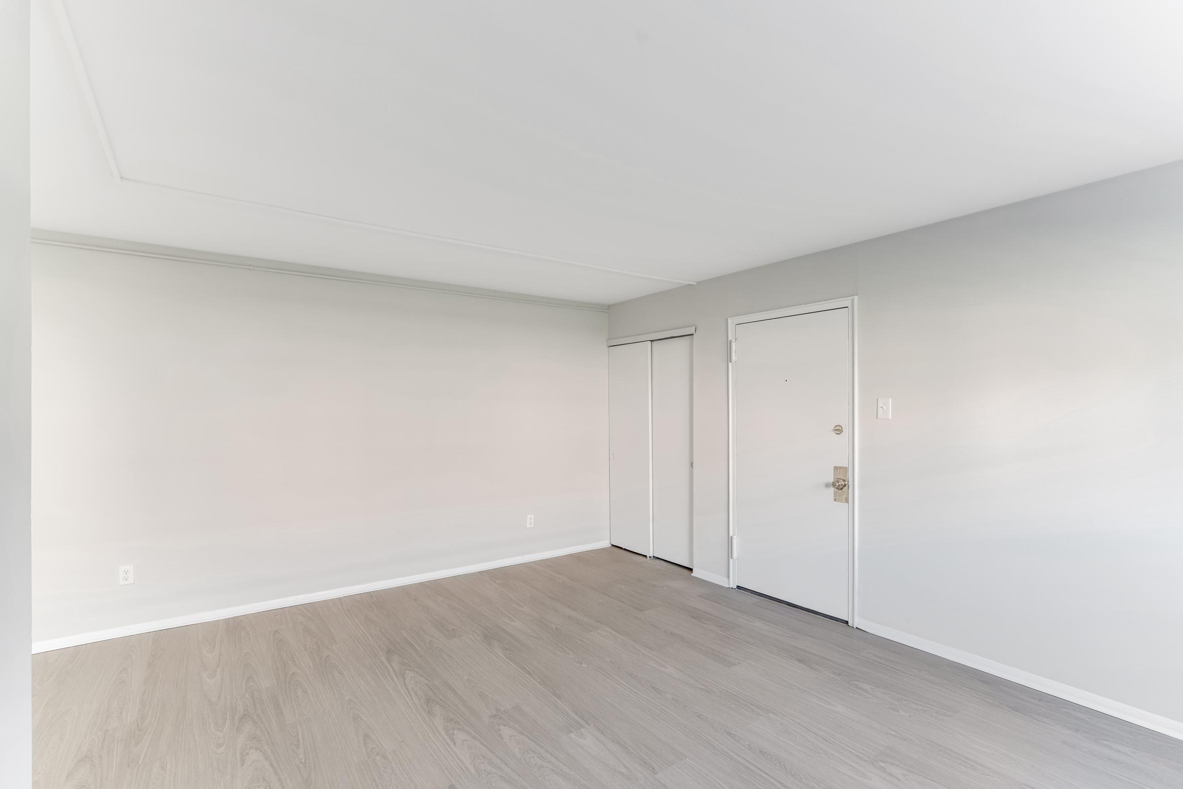 A minimalist, empty room with light gray walls and light wooden flooring. There is a single front door on one side, with a small closet nearby. The space appears bright and airy, illuminated by natural light. No furniture or decorations are present, emphasizing the room's open layout.