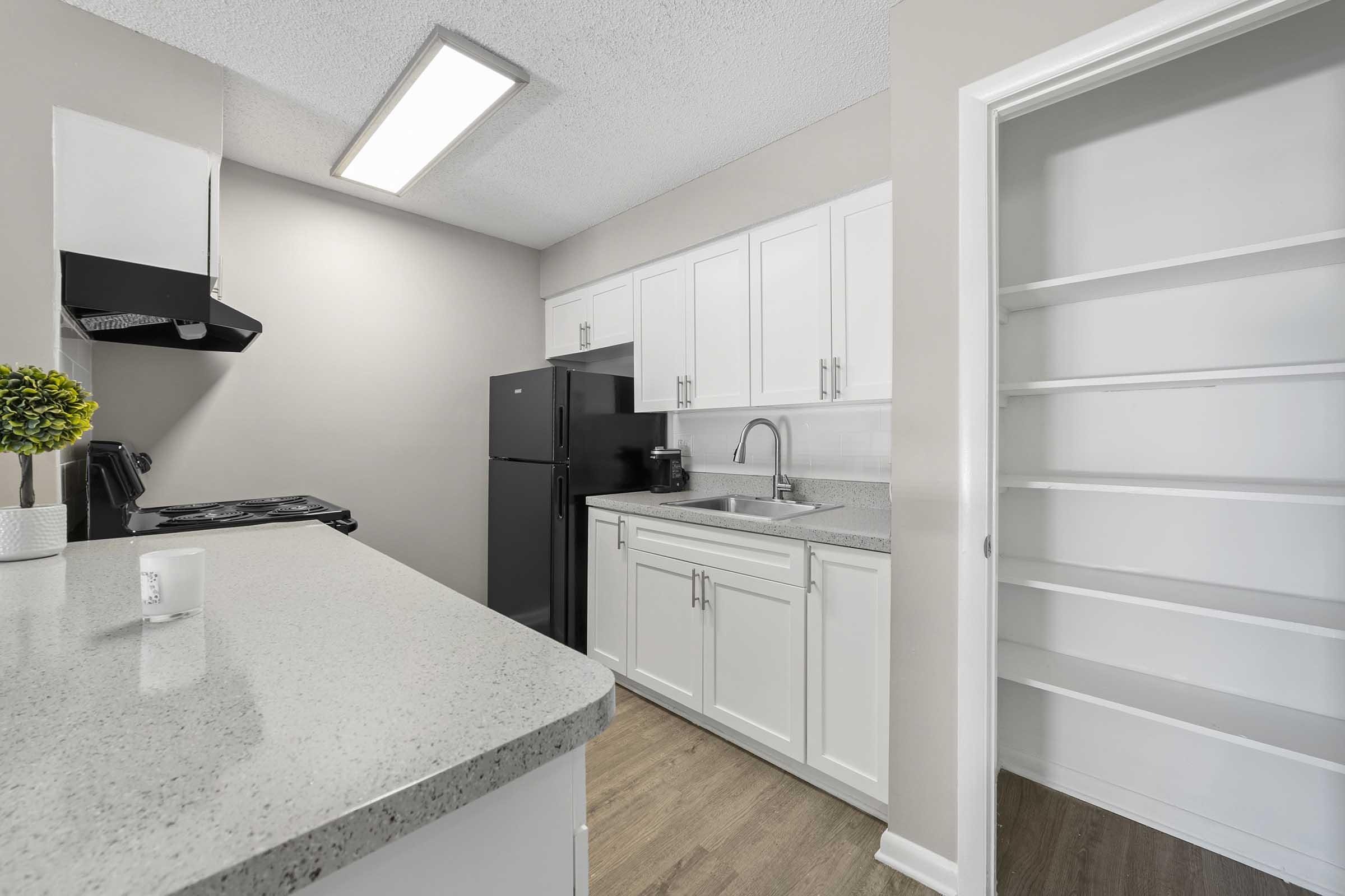 Modern kitchen featuring white cabinetry, a black refrigerator, and a sink with a faucet. The countertop is light-colored with a small plant decoration. There is a pantry with shelves visible on the right side, and the room is well-lit by an overhead light.
