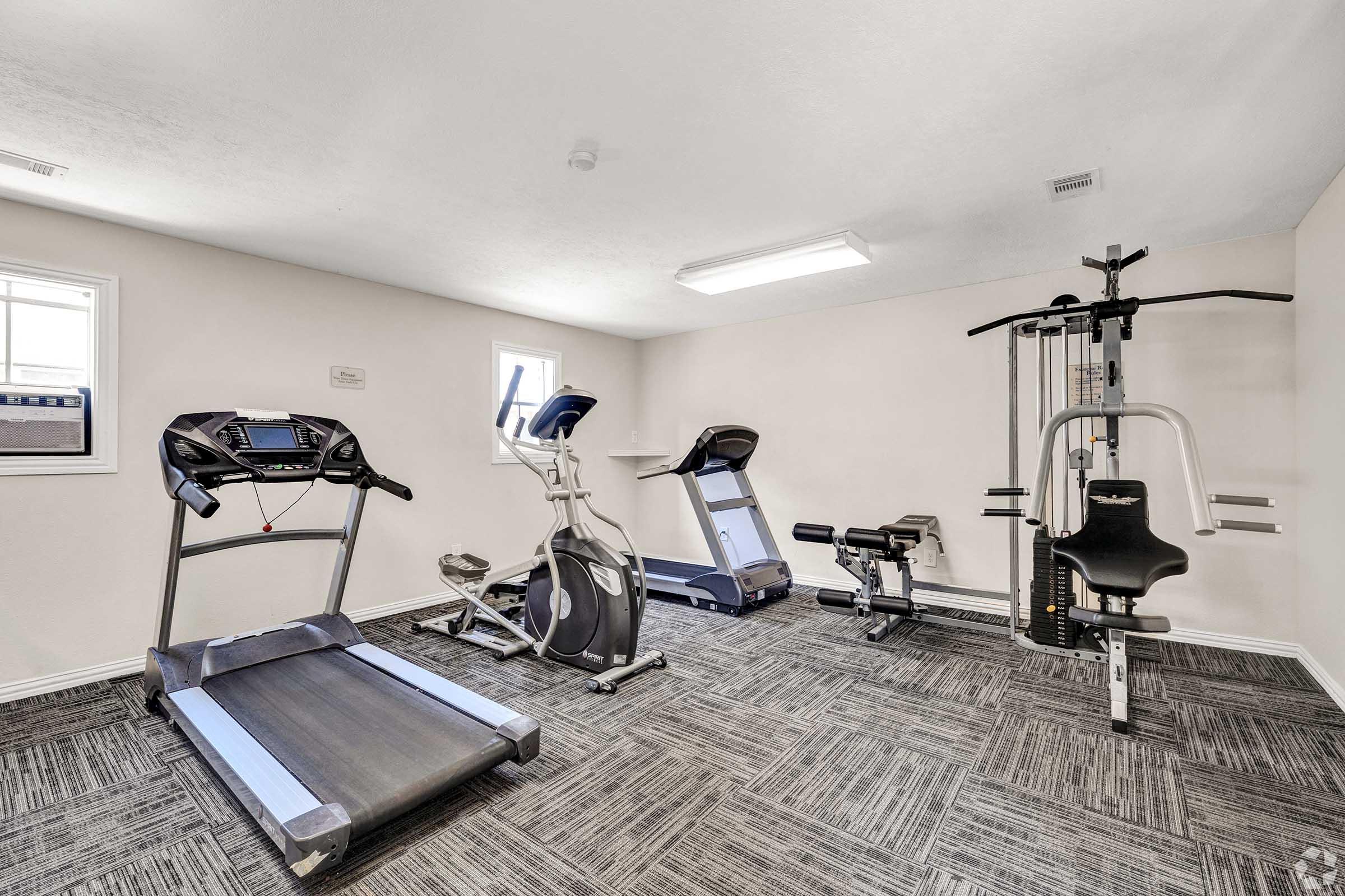 Home gym featuring a treadmill, elliptical machine, stationary bike, weight bench, and multi-station weight system on a carpeted floor. Brightly lit with natural light from windows.