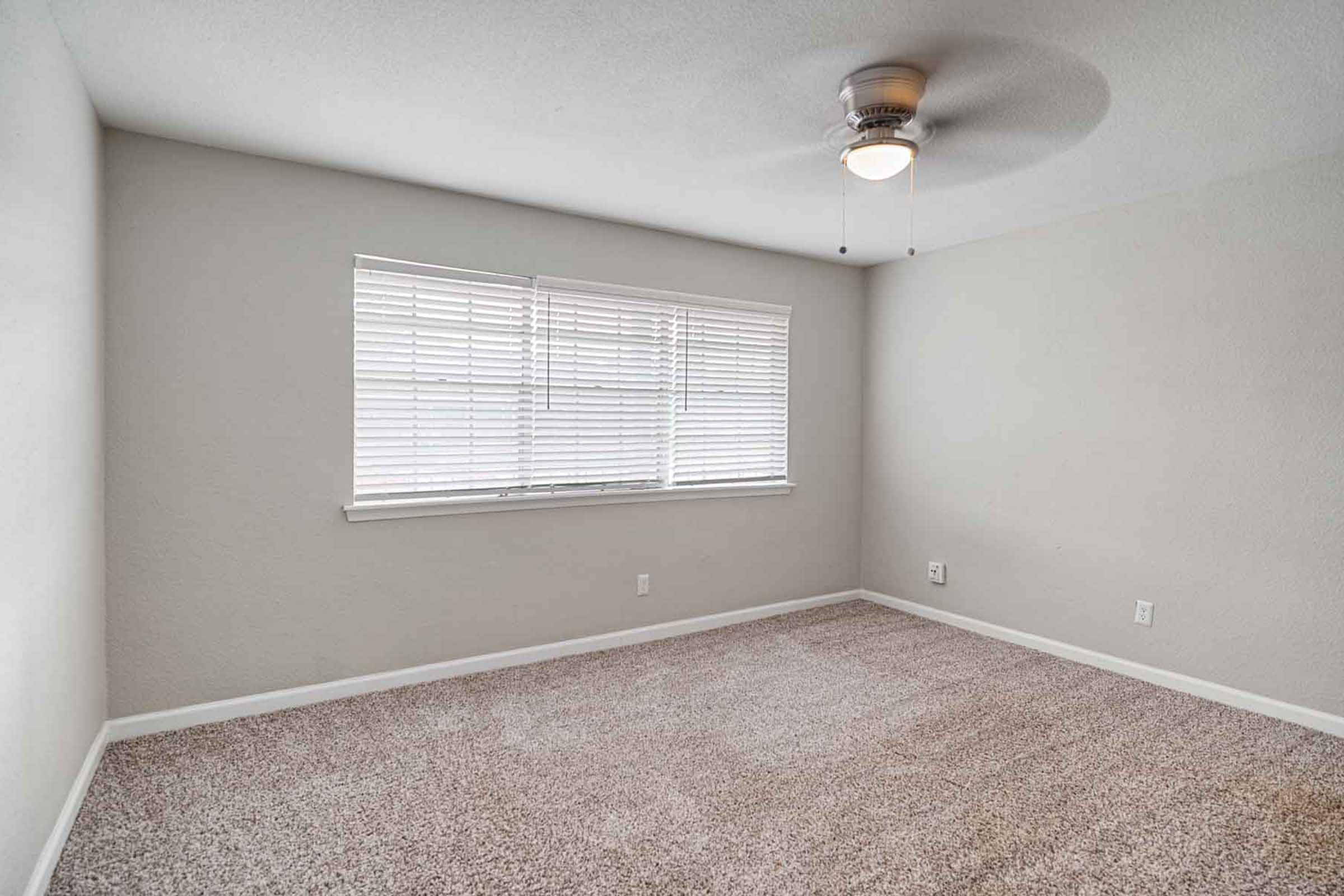 Empty room with beige carpet and light gray walls. A ceiling fan is mounted in the center, and there is a window with white blinds allowing natural light to enter. The space appears clean and spacious, suitable for various purposes such as a bedroom or office.