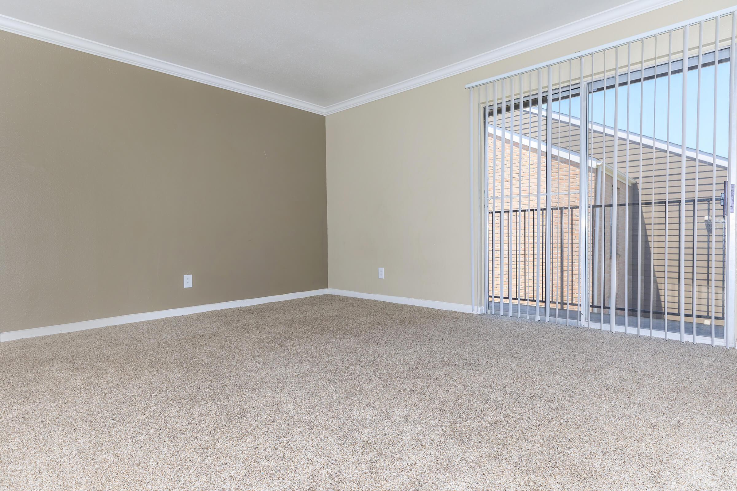 A spacious, empty room with light beige carpet and a neutral green wall. There is a large sliding glass door with vertical blinds allowing natural light to enter, leading to an outdoor area. The room has a clean and uncluttered appearance, ready for occupancy or decoration.