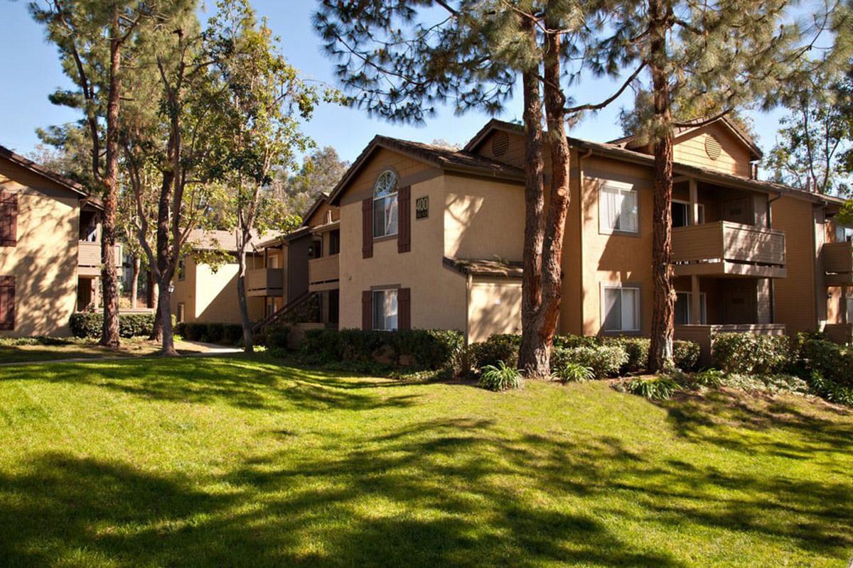 A sunny view of a residential apartment complex surrounded by lush green grass and tall pine trees. The building features multiple balconies and an attractive exterior. The setting is peaceful and inviting, showcasing landscaped grounds.