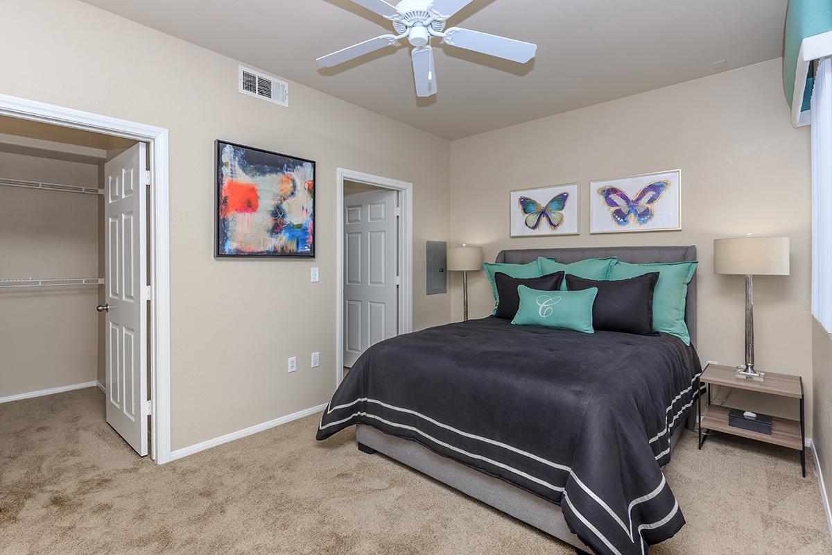 Ceiling Fans, Carpeted Floors, and Walk-in Closets