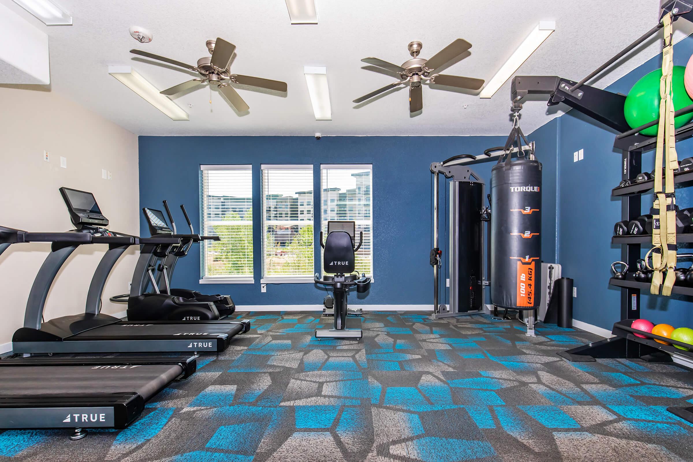A well-equipped fitness room featuring multiple treadmills, a stationary bike, and a punching bag. The room has ceiling fans and large windows allowing natural light, with a blue and gray patterned carpet and fitness accessories like medicine balls and resistance bands visible.