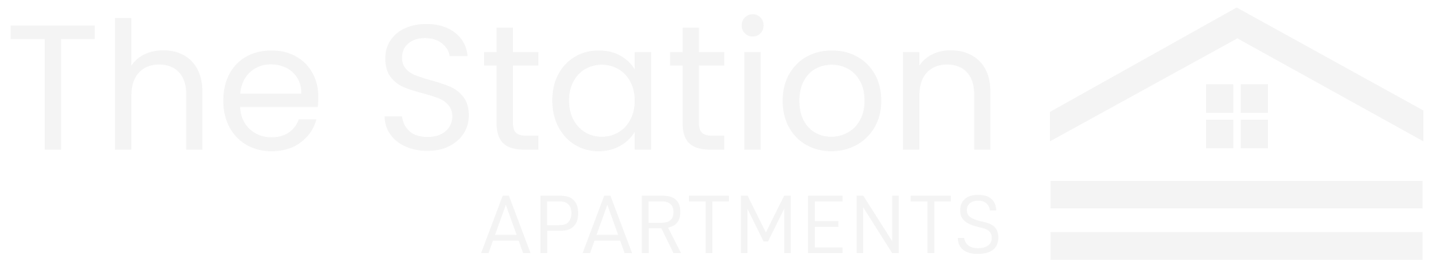 The Station Apartments ebrochure logo