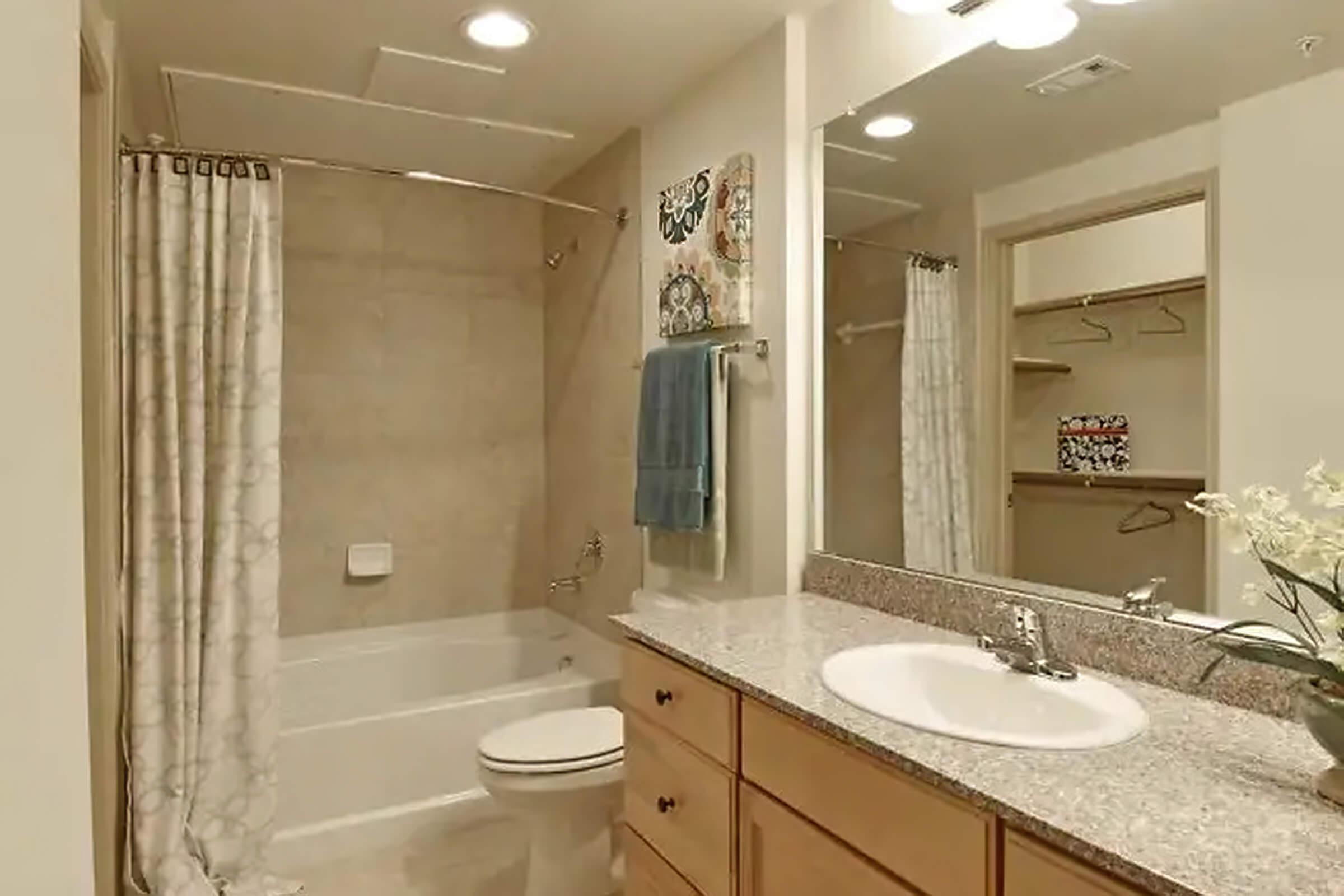 a shower that has a sink and a mirror