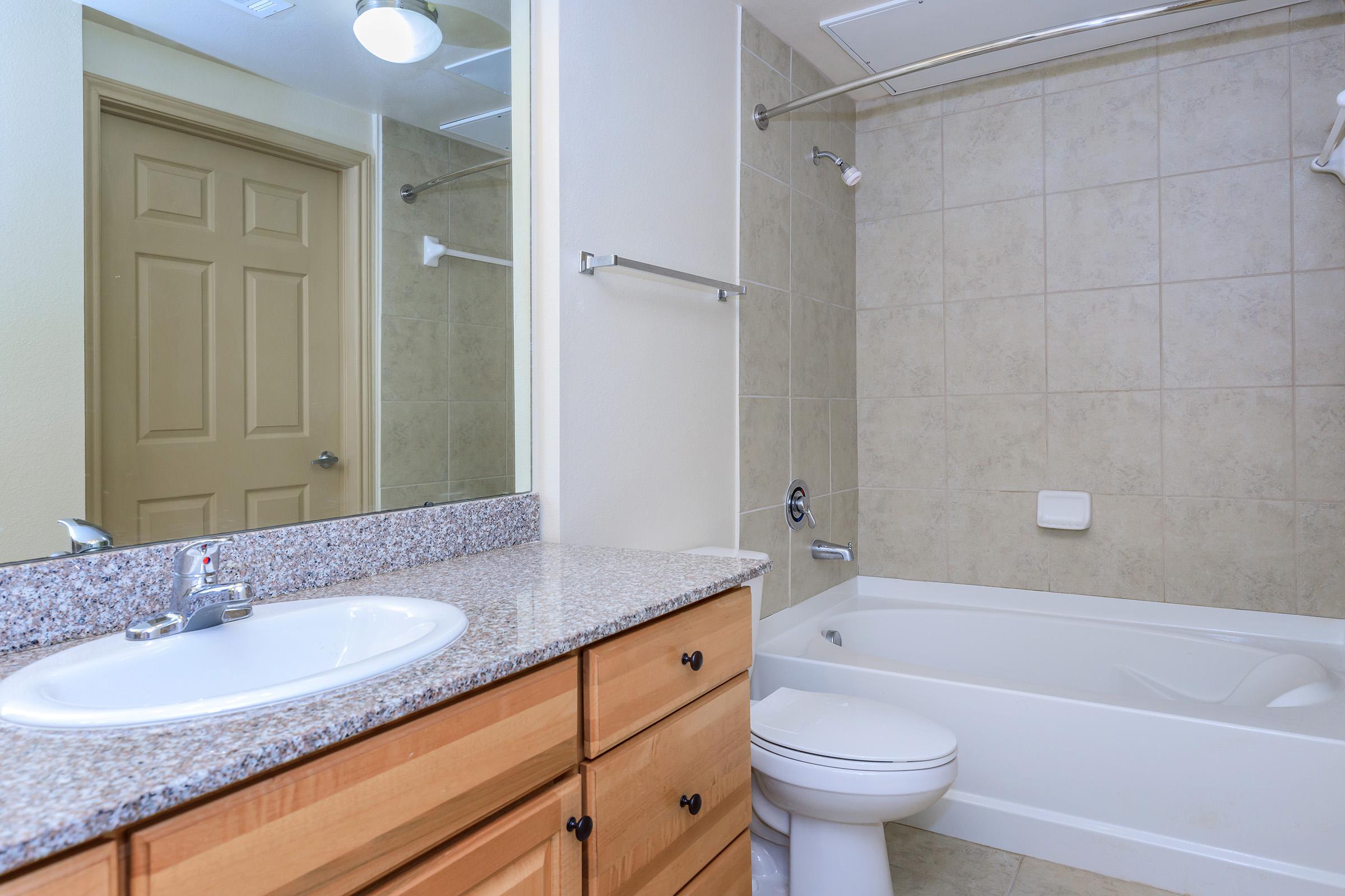 a double sink and large mirror