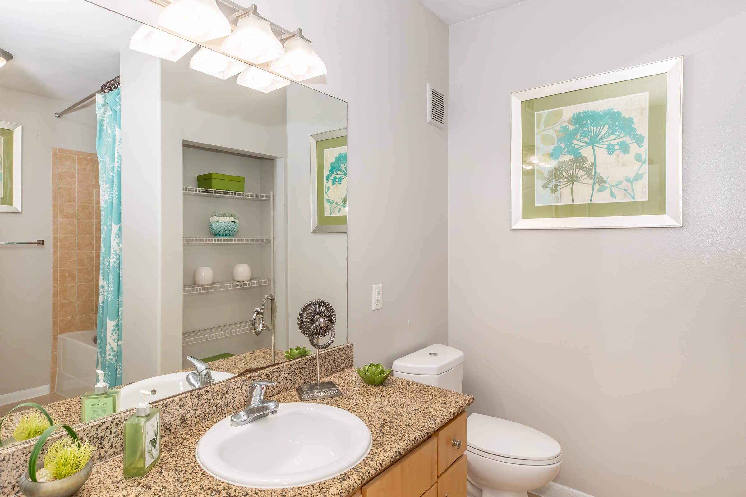 Modern bathroom featuring a granite countertop with a round sink, a mirror above, and a lighting fixture with four bulbs. Decor includes two framed floral prints, a shelf with decorative items, and a light blue shower curtain. A toilet and a bathtub with a tiled wall are also visible.