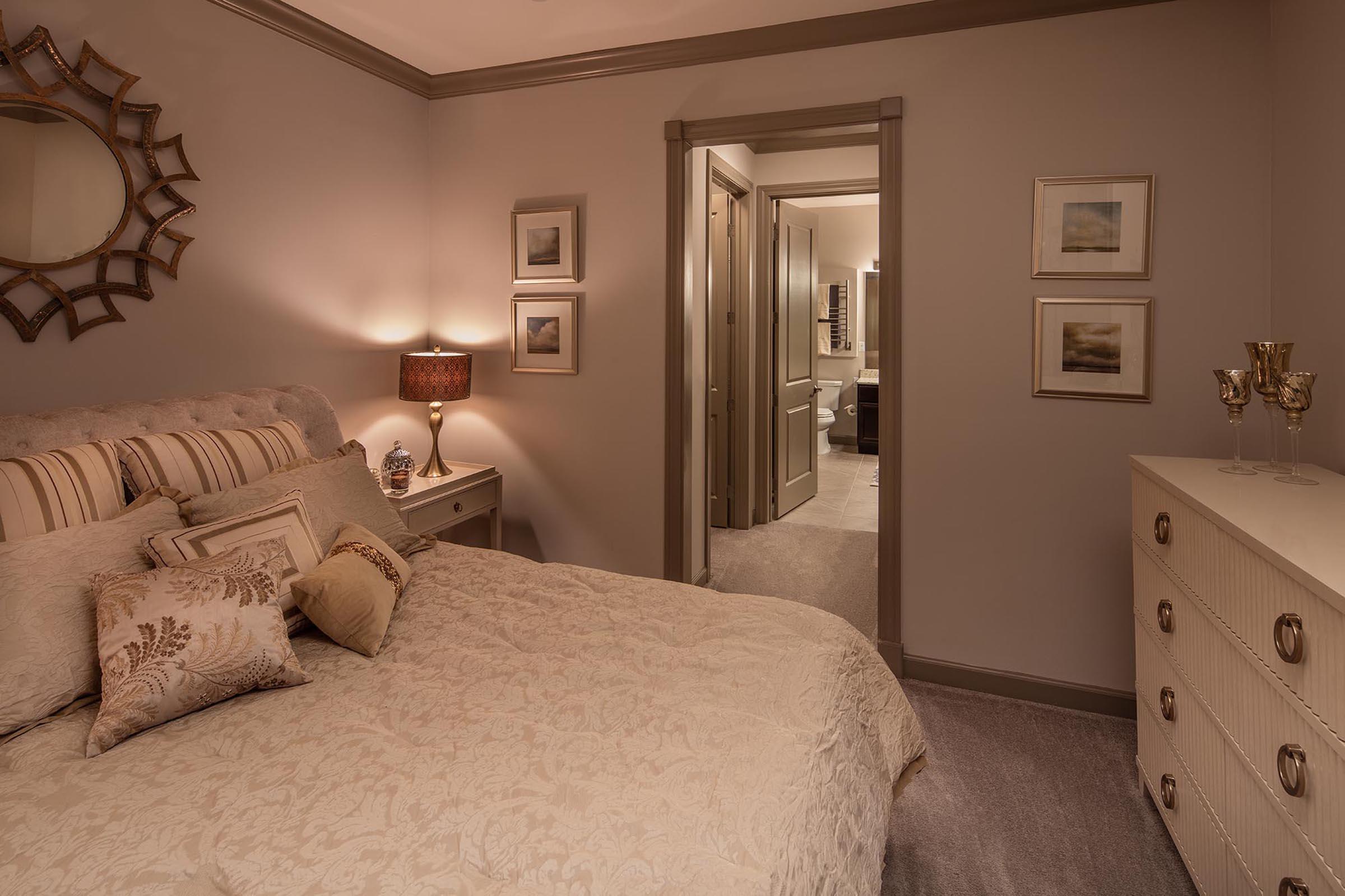The Orion Apartments in Central West End - St. Louis, MO - Interior 09.jpg