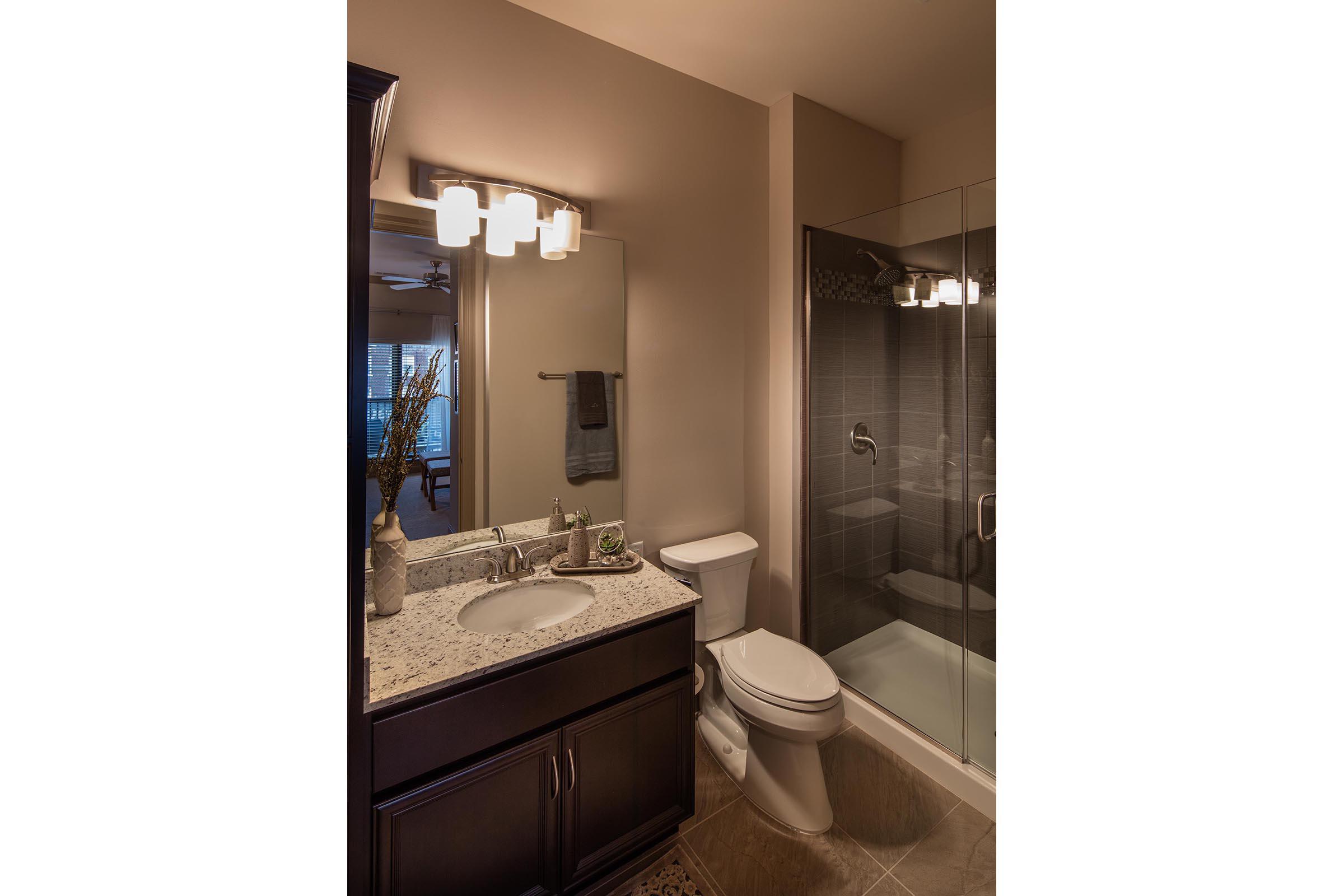 The Orion Apartments in Central West End - St. Louis, MO - Interior 10.jpg