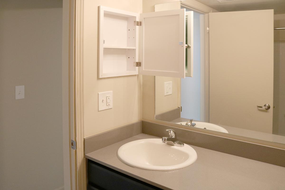 a double sink and large mirror