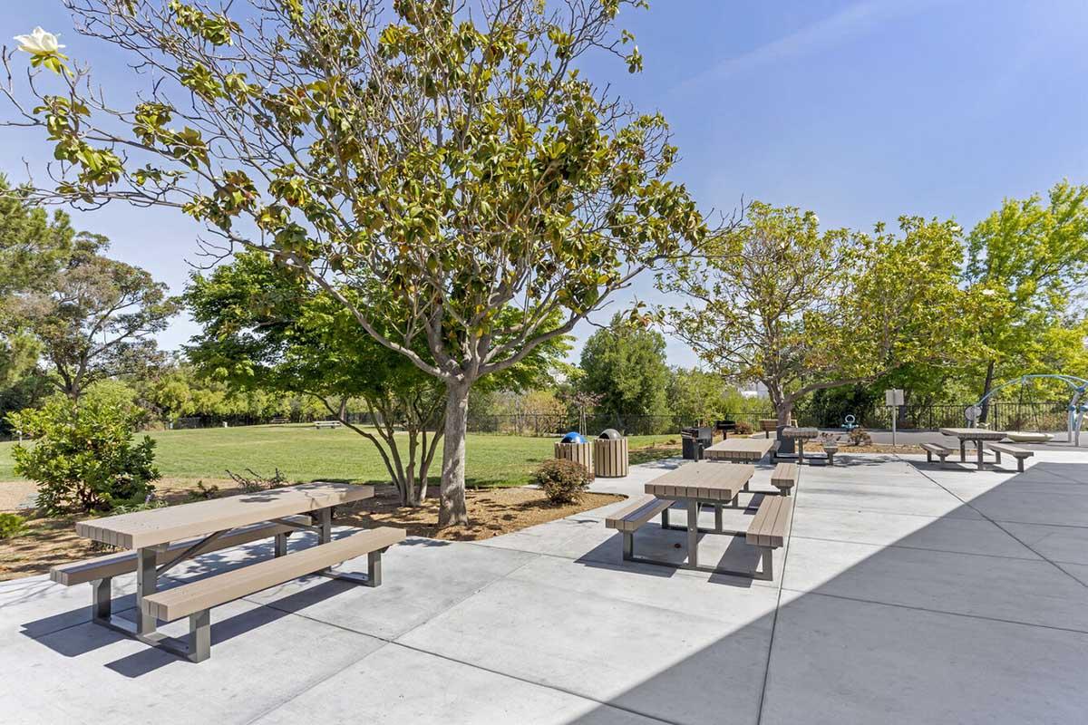 A view of an outdoor park area featuring several wooden picnic tables under trees with green foliage. The scene includes well-maintained grass in the background, a blue sky, and a few shrubs and trash bins nearby.
