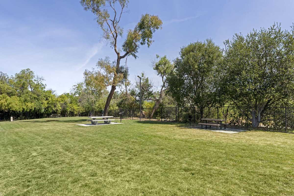 A spacious grassy area with two picnic tables under trees, surrounded by a metal fence. The sky is clear with a few clouds, and the landscape features lush greenery on the edges, creating a serene outdoor setting.